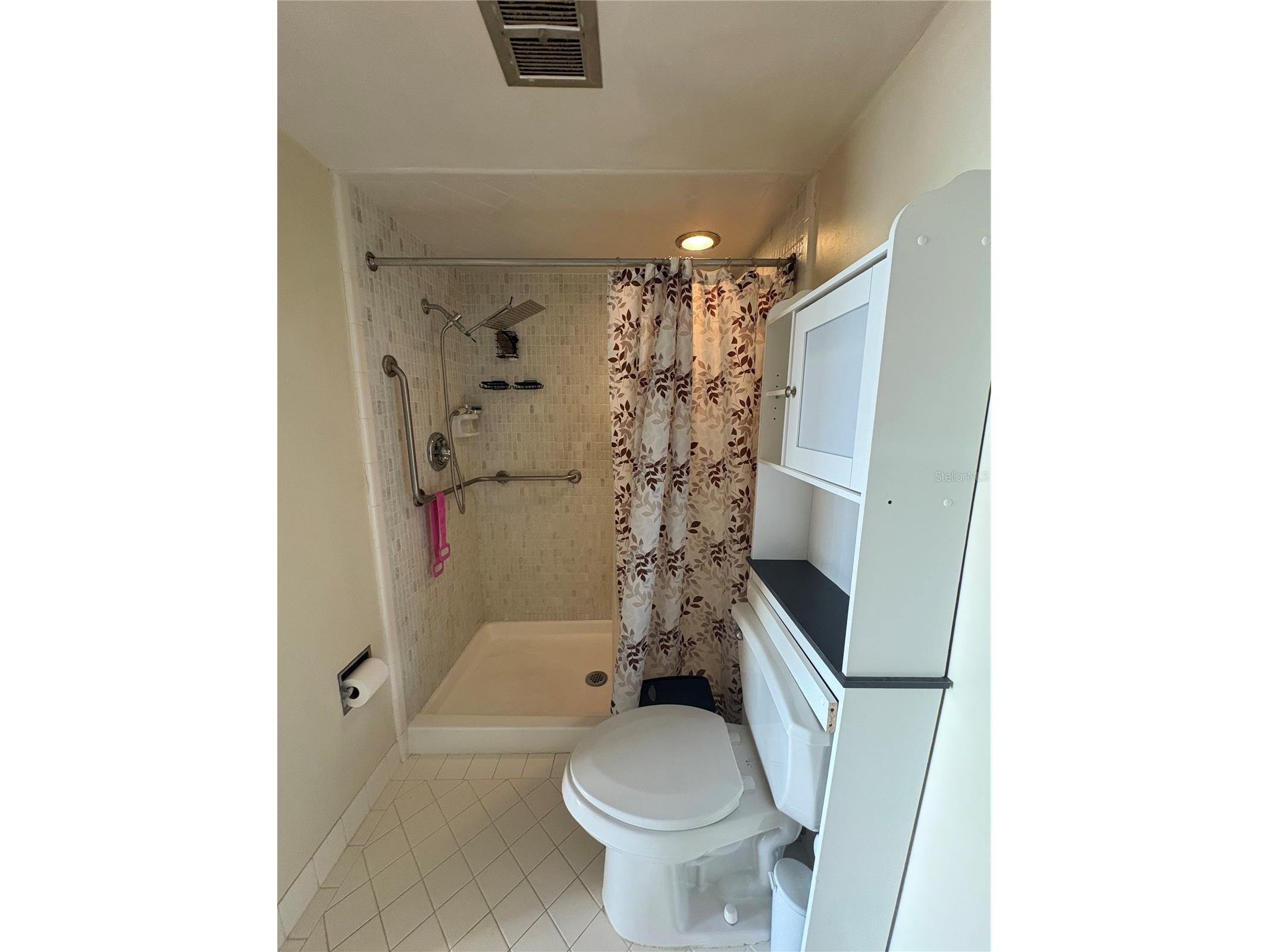5220 Brittany Drive S #803 Saint Petersburg FL 33715 - TAMPA BAY TB8482521 image34