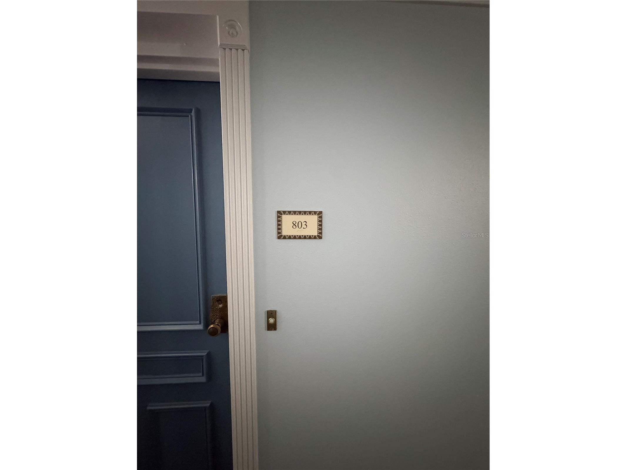 5220 Brittany Drive S #803 Saint Petersburg FL 33715 - TAMPA BAY TB8482521 image45