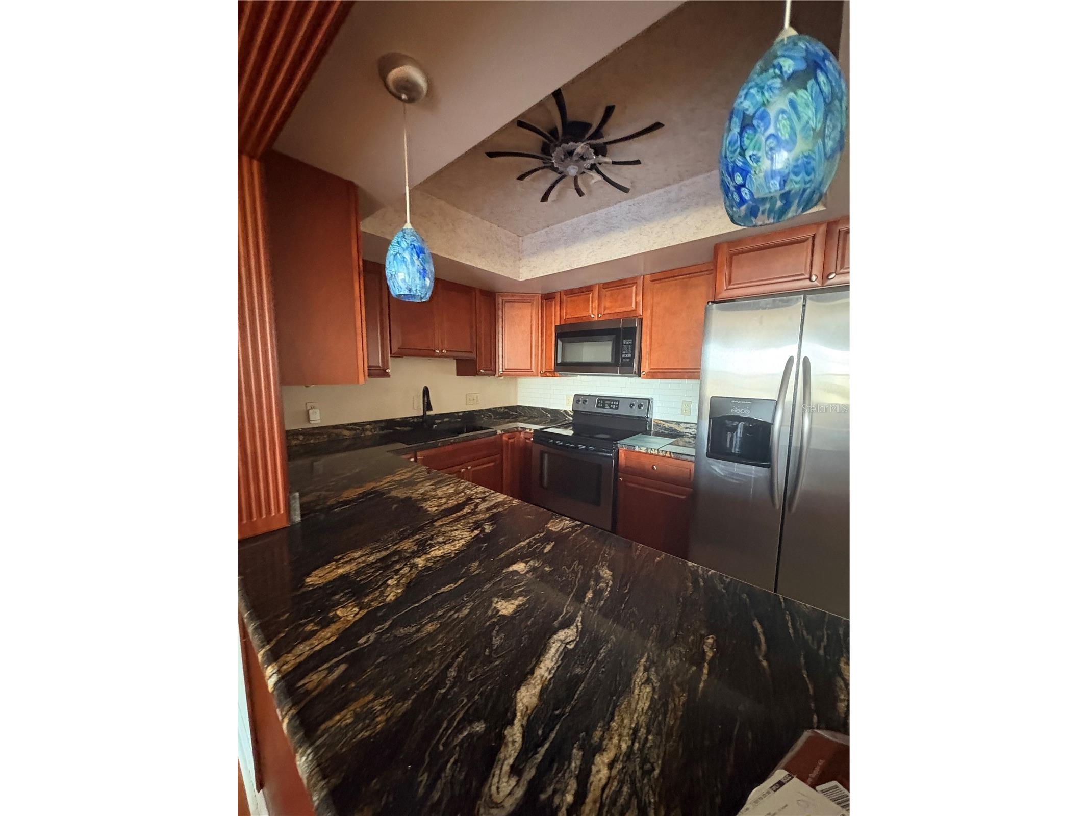 5220 Brittany Drive S #803 Saint Petersburg FL 33715 - TAMPA BAY TB8482521 image7