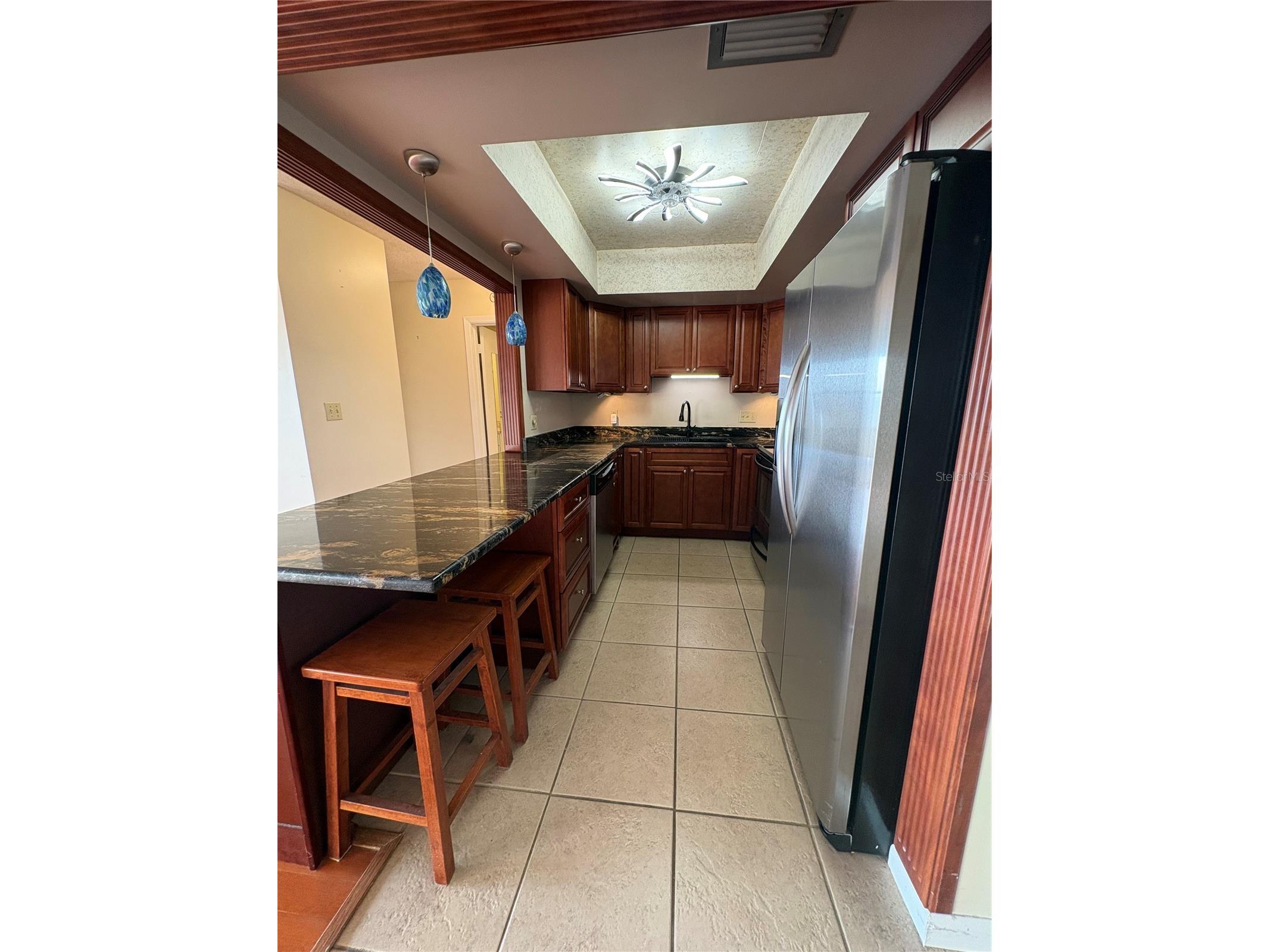 5220 Brittany Drive S #803 Saint Petersburg FL 33715 - TAMPA BAY TB8482521 image9