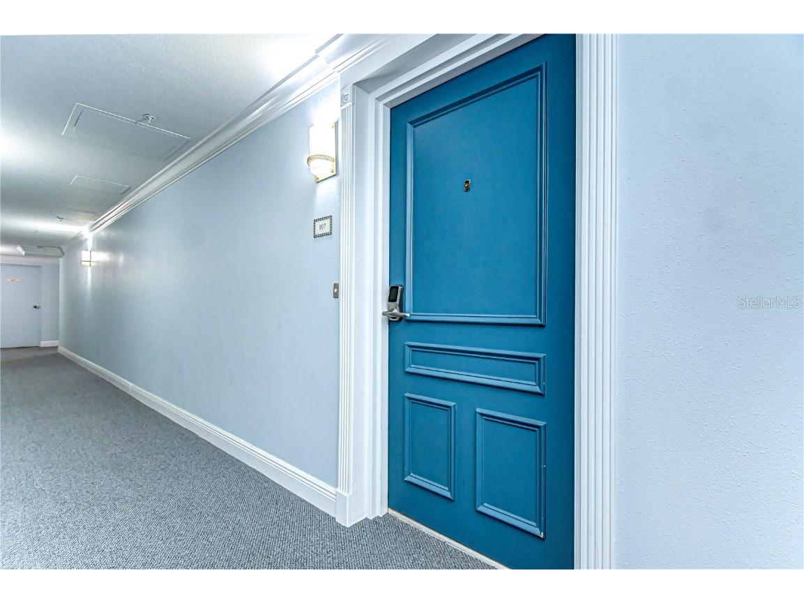 5220 Brittany Drive S #807 Saint Petersburg FL 33715 TB8390824 image6