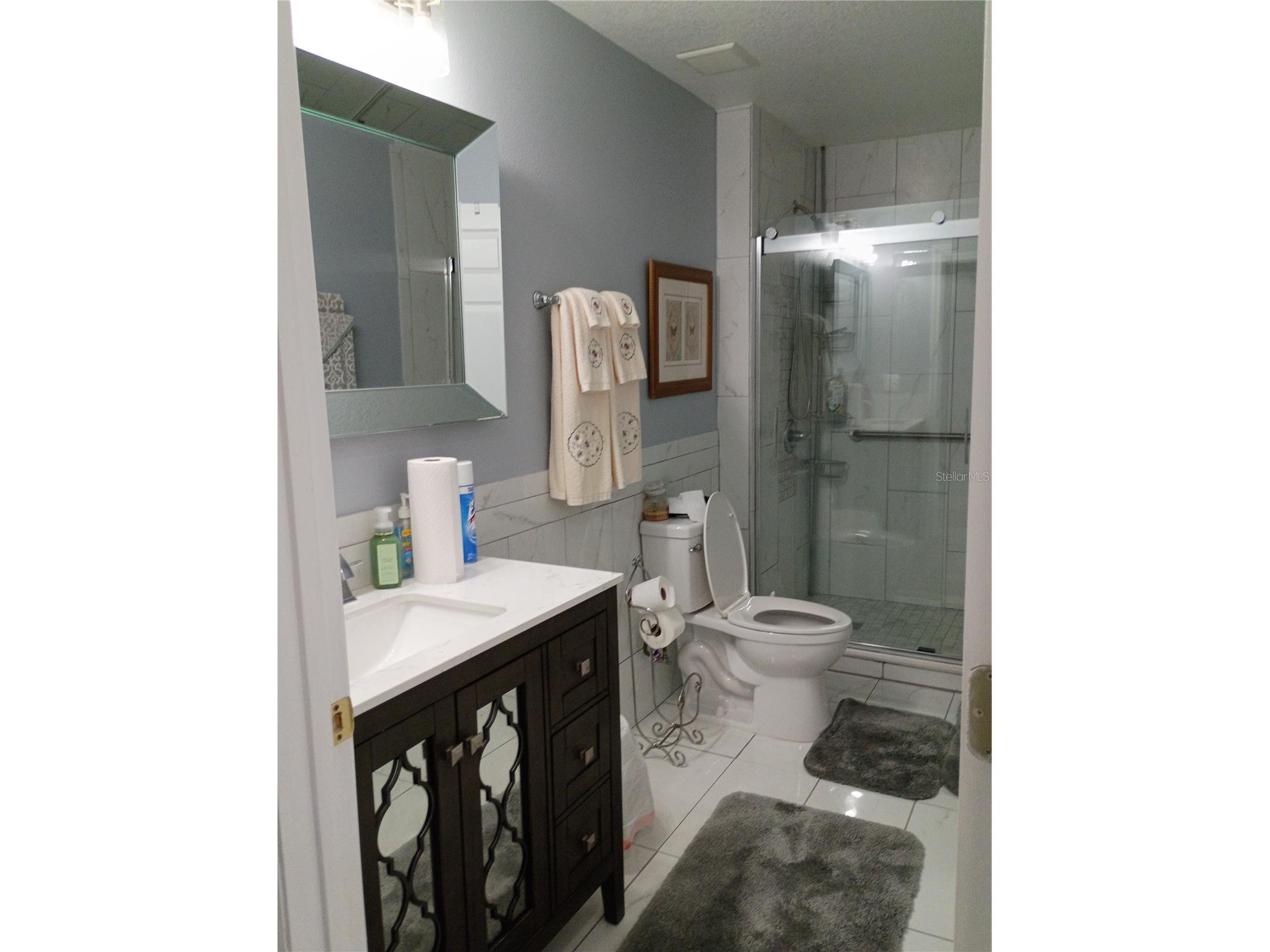 5220 Butterfly Shell Drive Apollo Beach FL 33572 TB8504620 image11