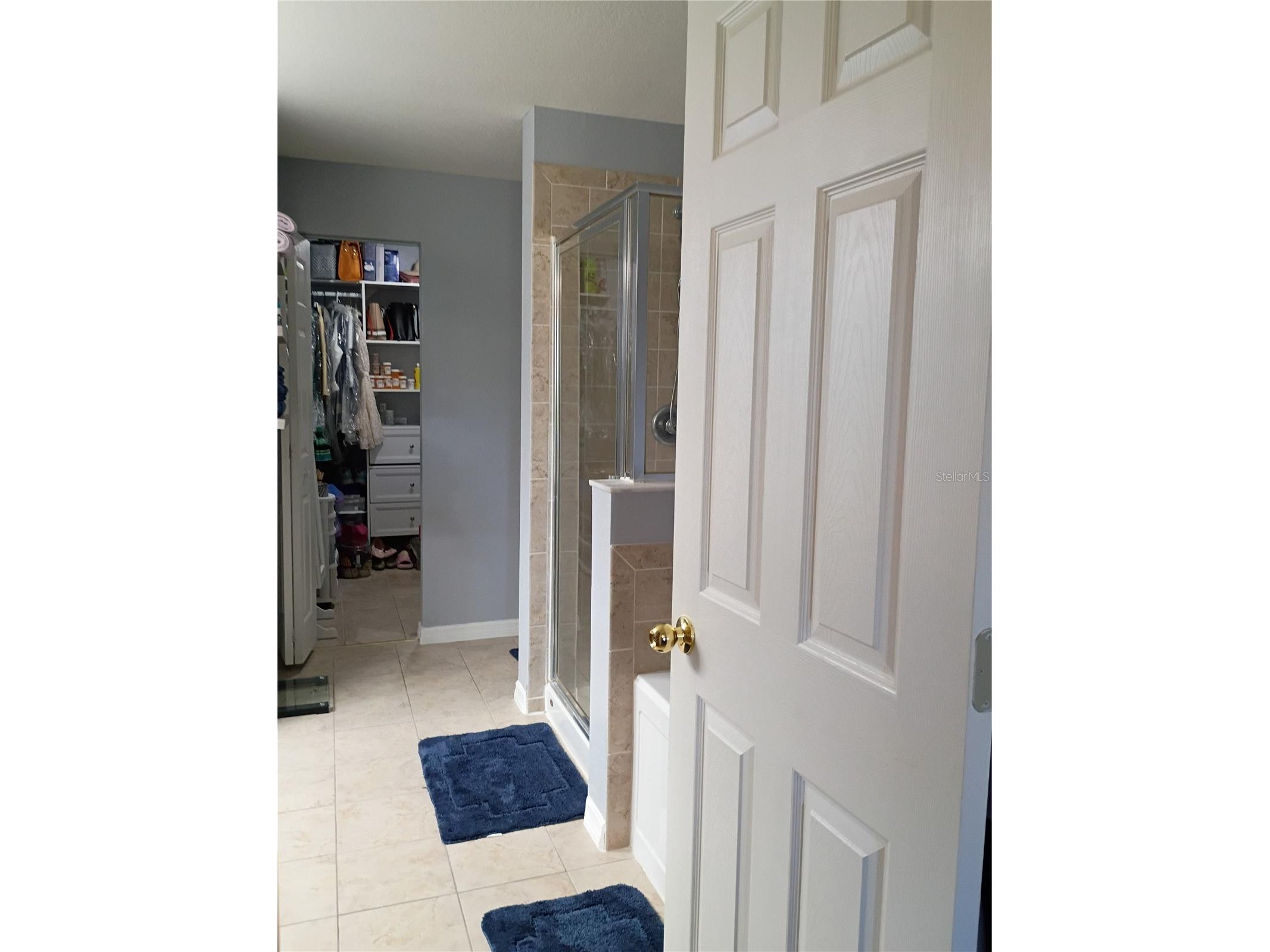 5220 Butterfly Shell Drive Apollo Beach FL 33572 TB8504620 image14