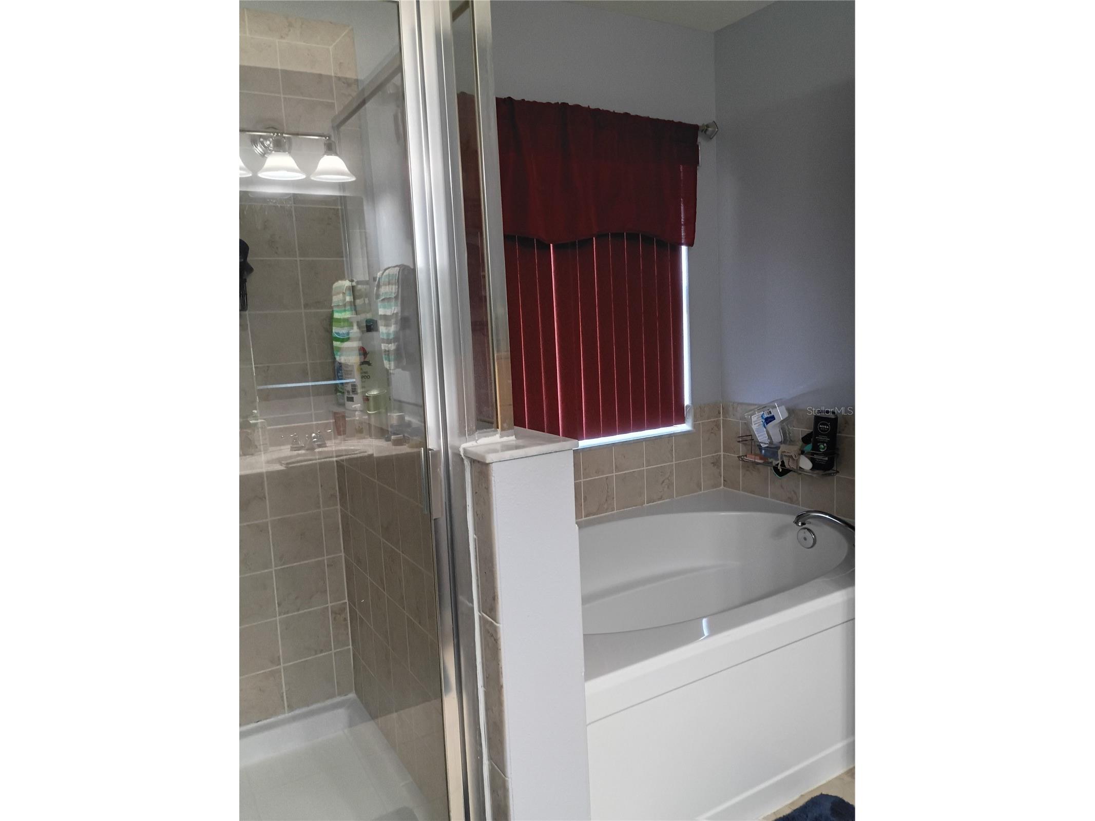 5220 Butterfly Shell Drive Apollo Beach FL 33572 TB8504620 image17