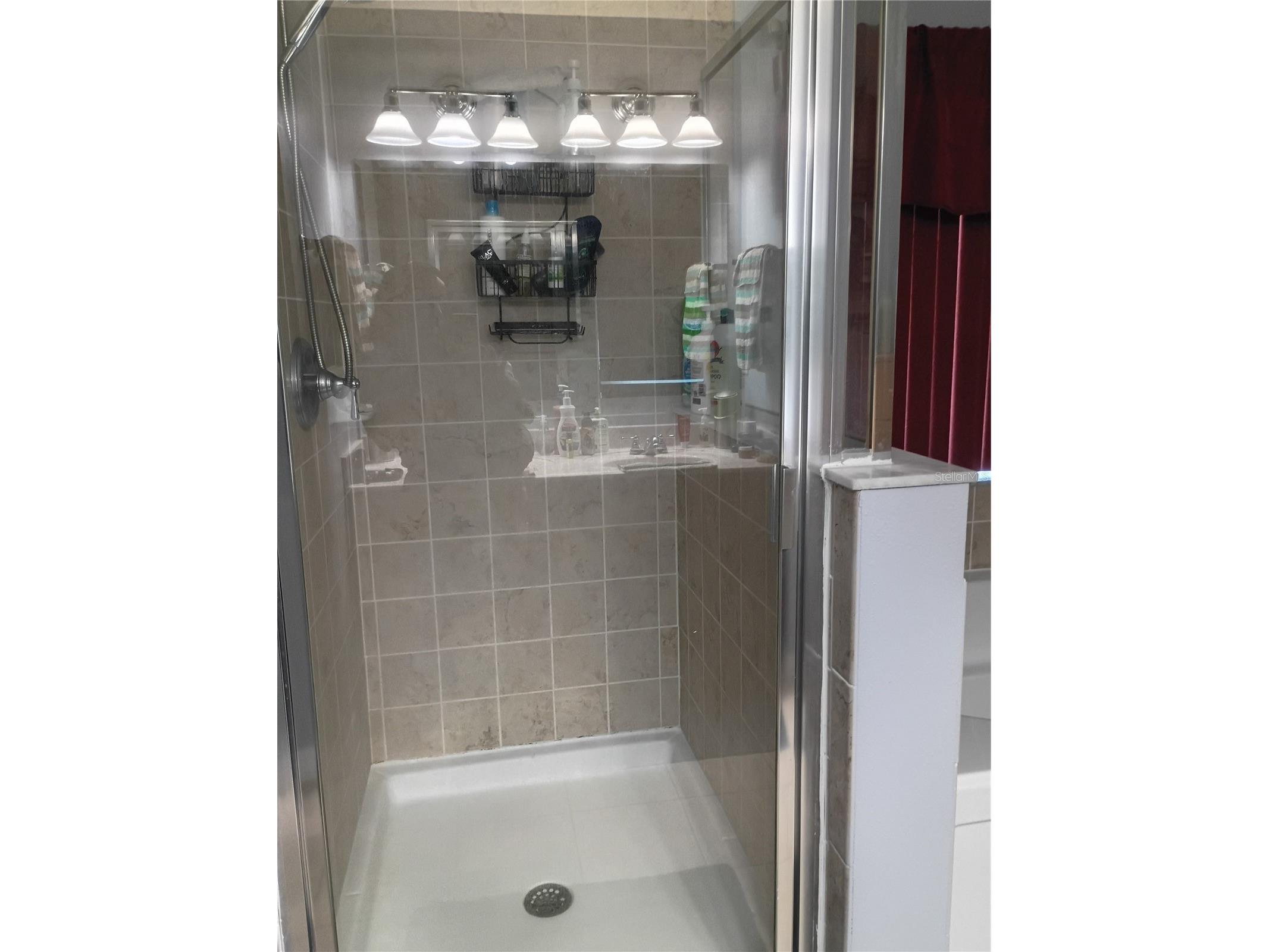5220 Butterfly Shell Drive Apollo Beach FL 33572 TB8504620 image18