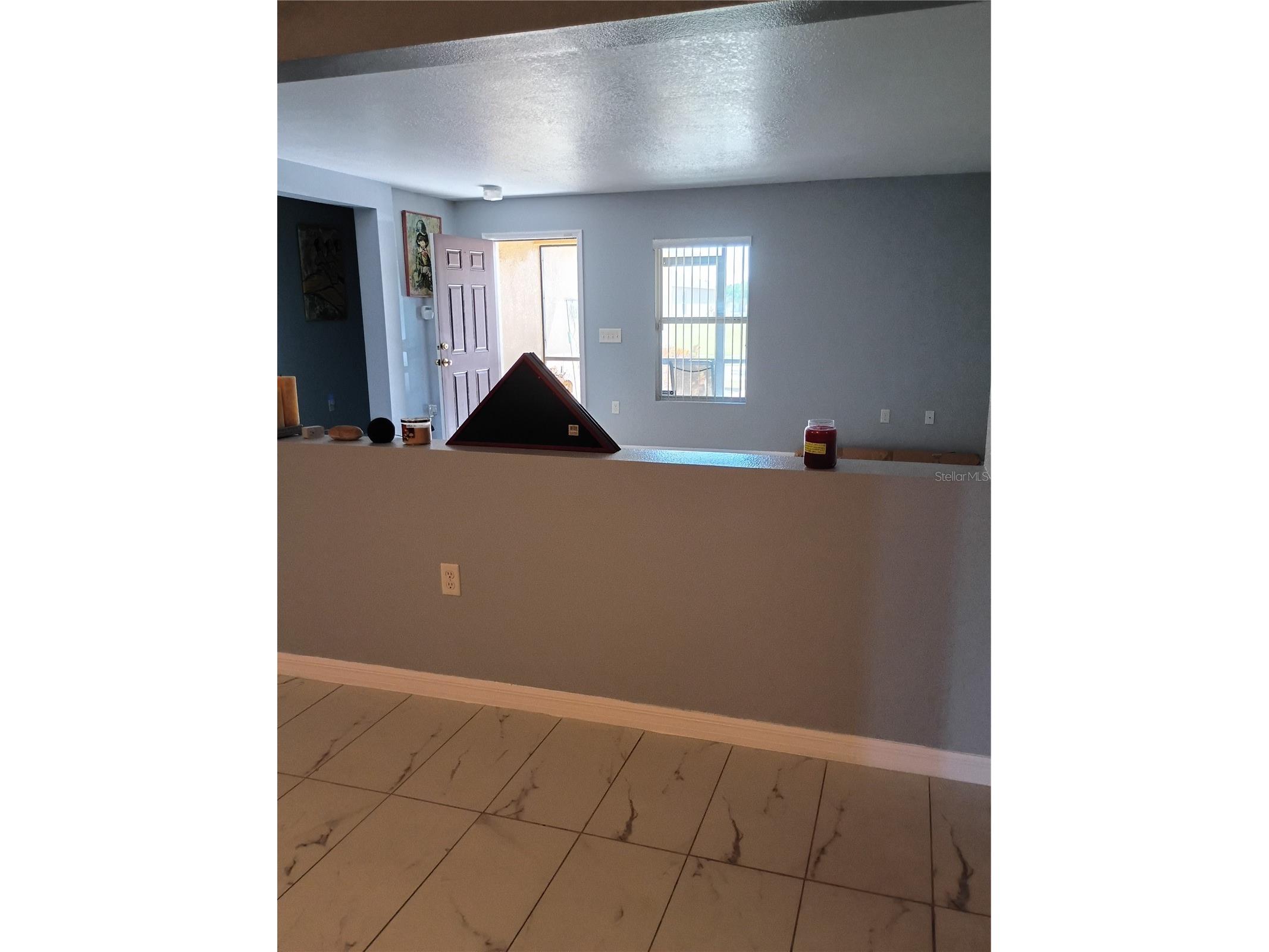 5220 Butterfly Shell Drive Apollo Beach FL 33572 TB8504620 image20