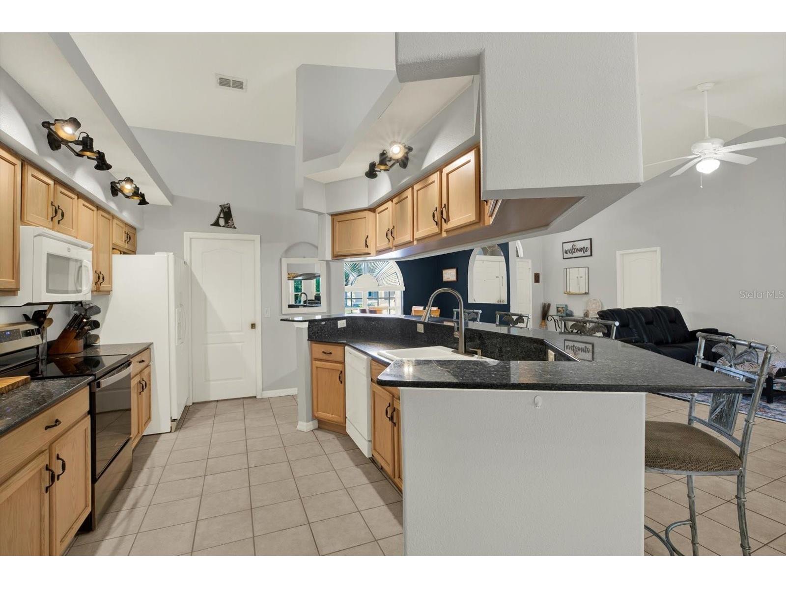 5220 Kirkwood Avenue Spring Hill FL 34608 W7884015 image4