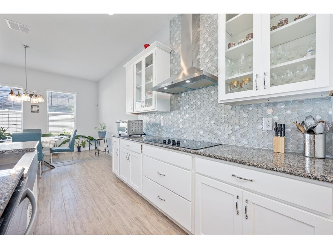 5220 Lake Washington Street Winter Garden FL 34787 O6355595 image18