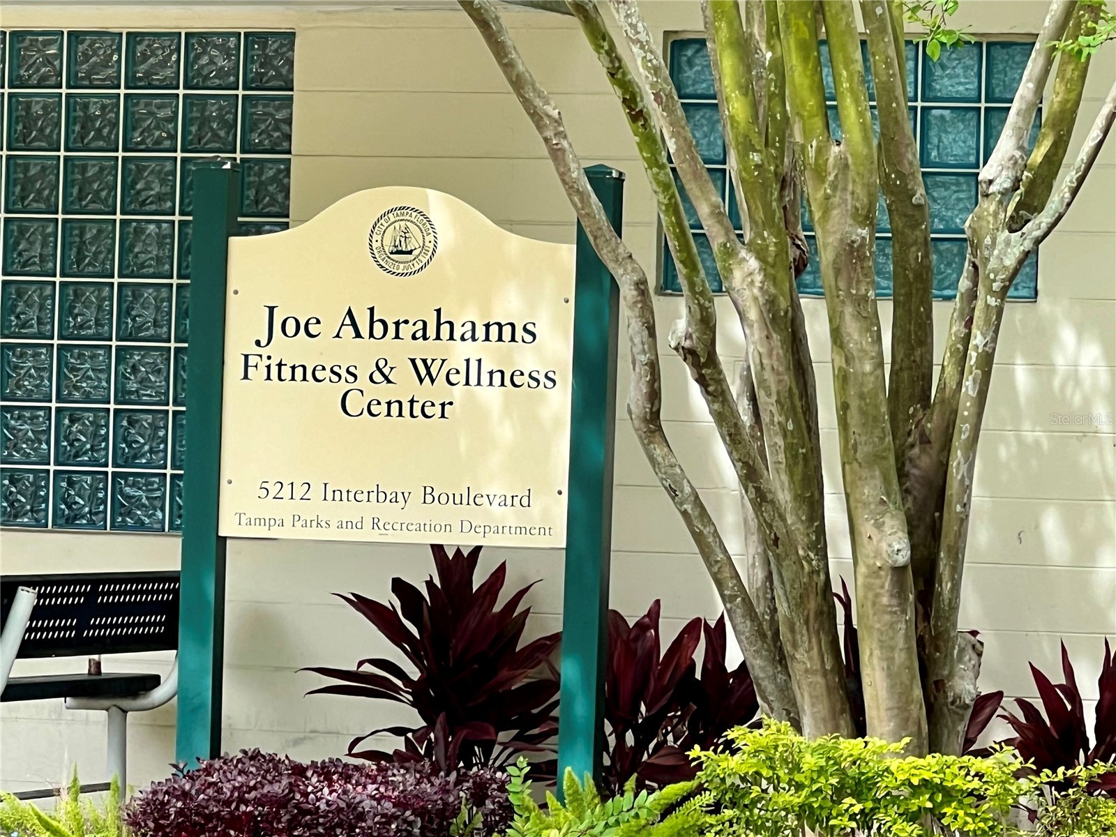 5221 Bayshore Boulevard #29 Tampa FL 33611 TB8360546 image16