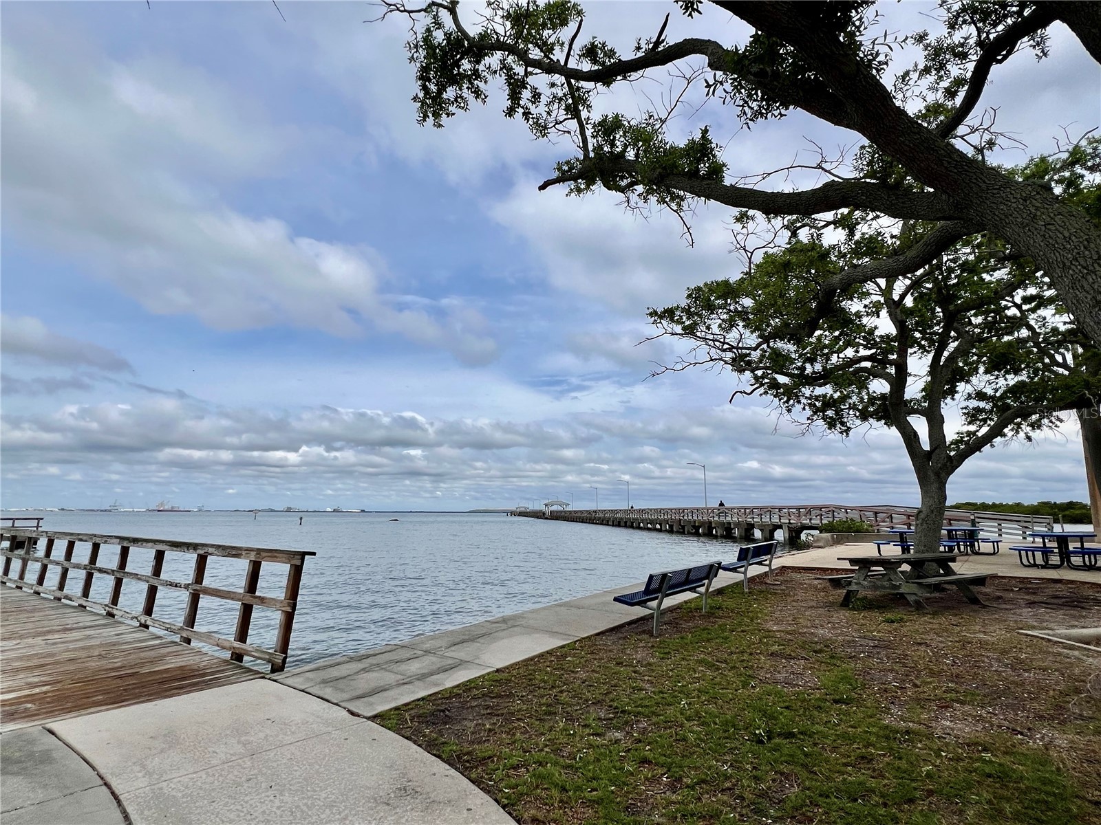 5221 Bayshore Boulevard #29 Tampa FL 33611 TB8360546 image19