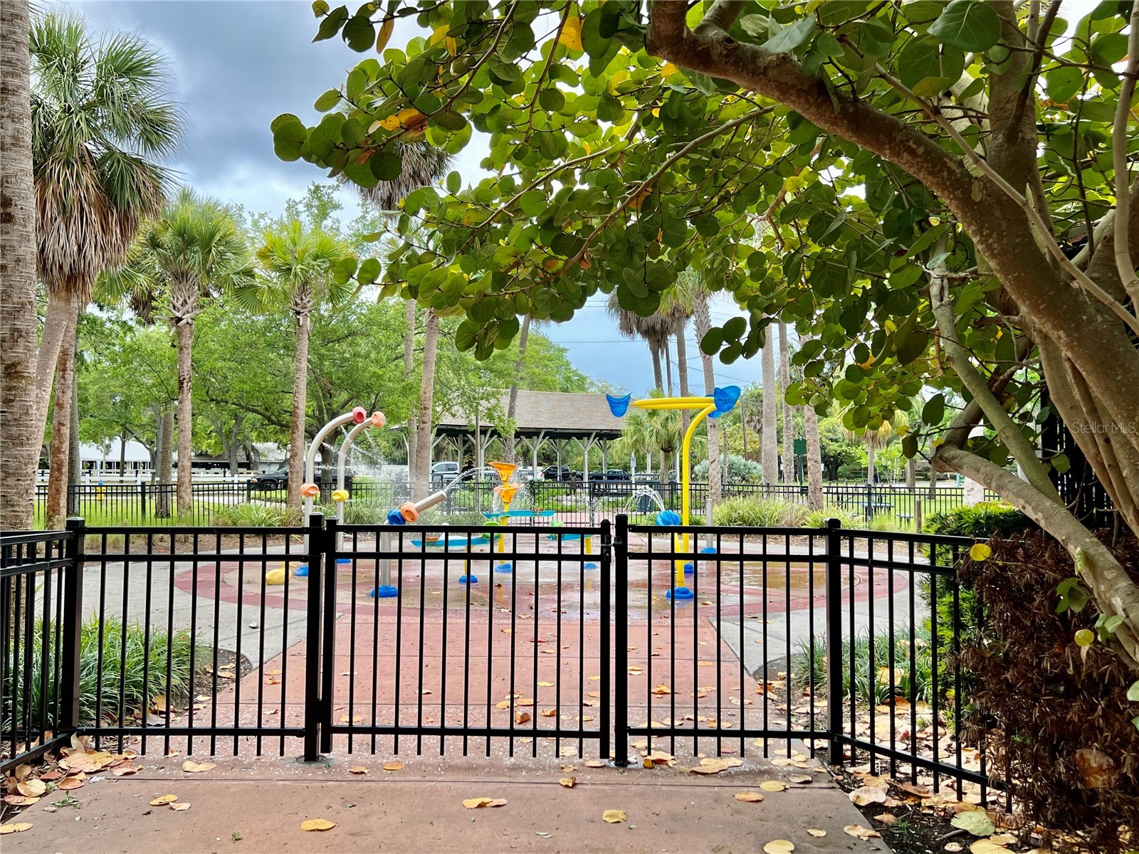 5221 Bayshore Boulevard #29 Tampa FL 33611 TB8360546 image20