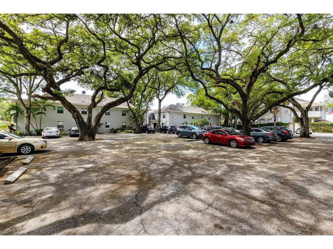 5221 Bayshore Boulevard #44 Tampa FL 33611 T3454738 image1