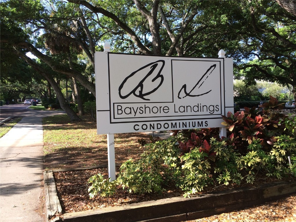 5221 Bayshore Boulevard #5 Tampa FL 33611 T3366962 image1