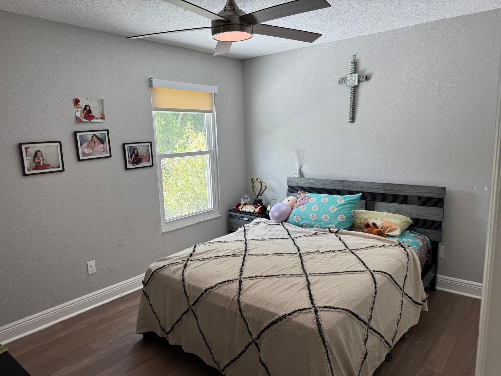 5221 Spike Horn Drive New Port Richey FL 34653 TB8460647 image20