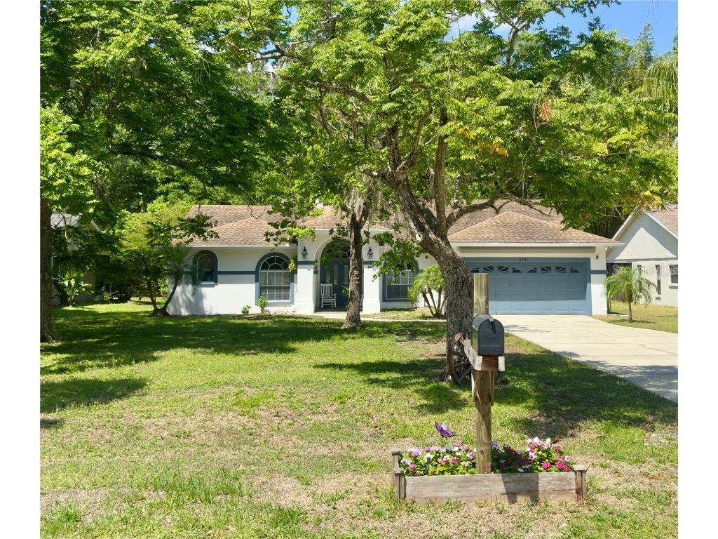 5221 Swallow Drive Land O Lakes FL 34639 S5124151 image1