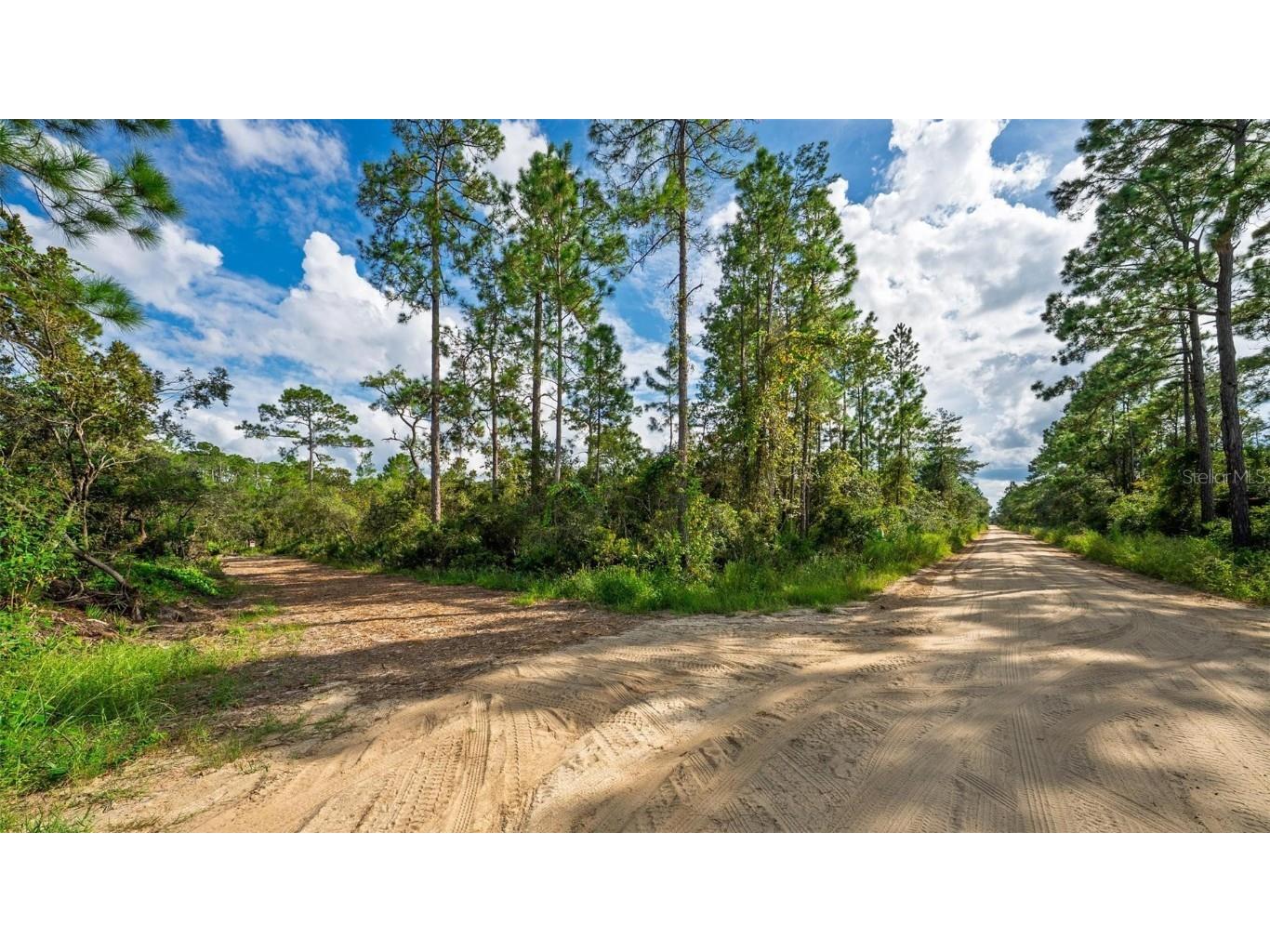 52215 State Road 19 Altoona FL 32702 O6345068 image8