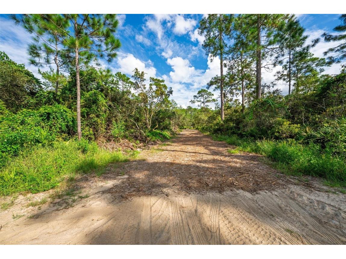 52215 State Road 19 Altoona FL 32702 O6345068 image9