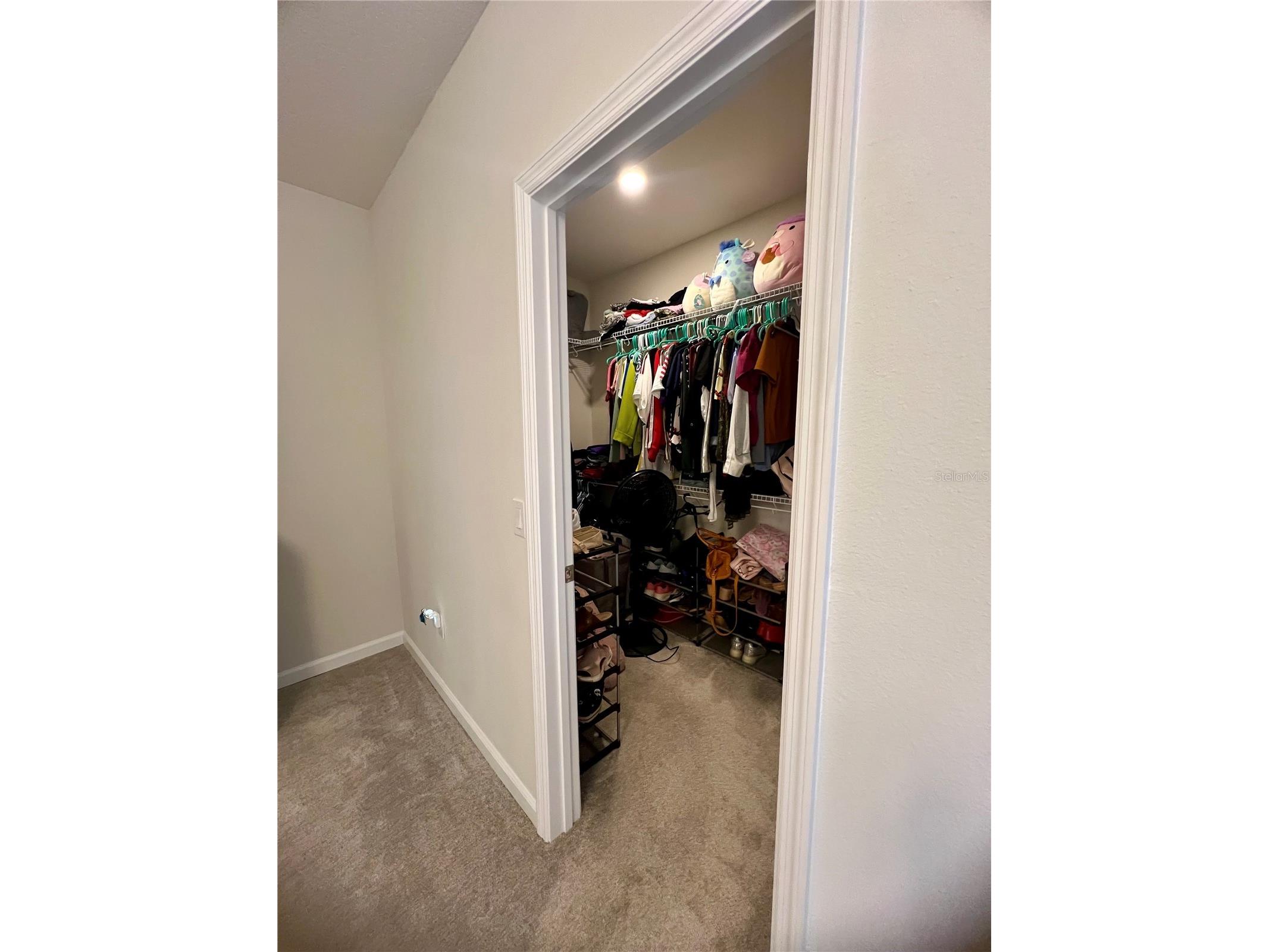 5222 Tyson Ranch Boulevard Orlando FL 32824 S5145156 image42