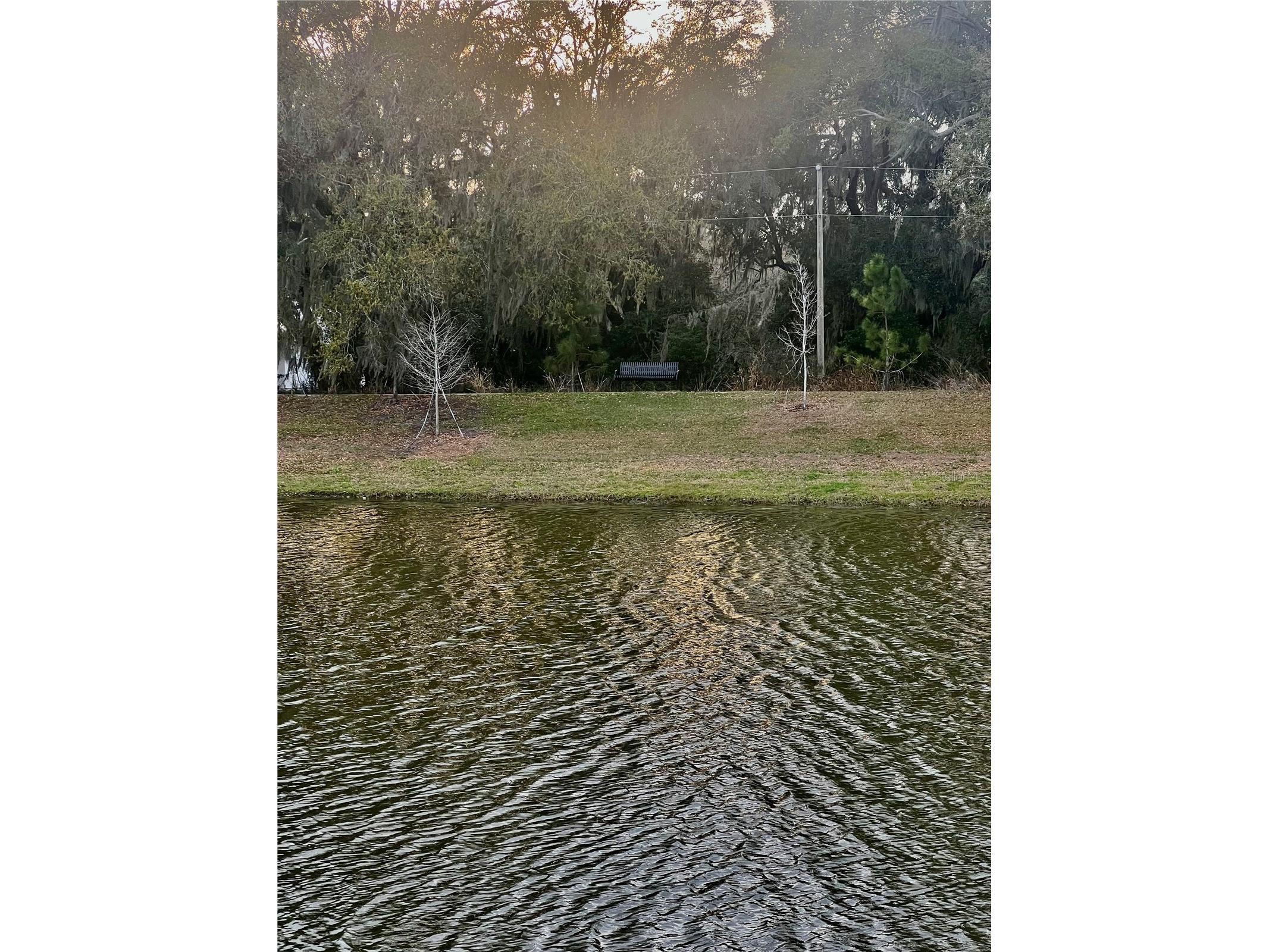 5222 Tyson Ranch Boulevard Orlando FL 32824 S5145156 image52