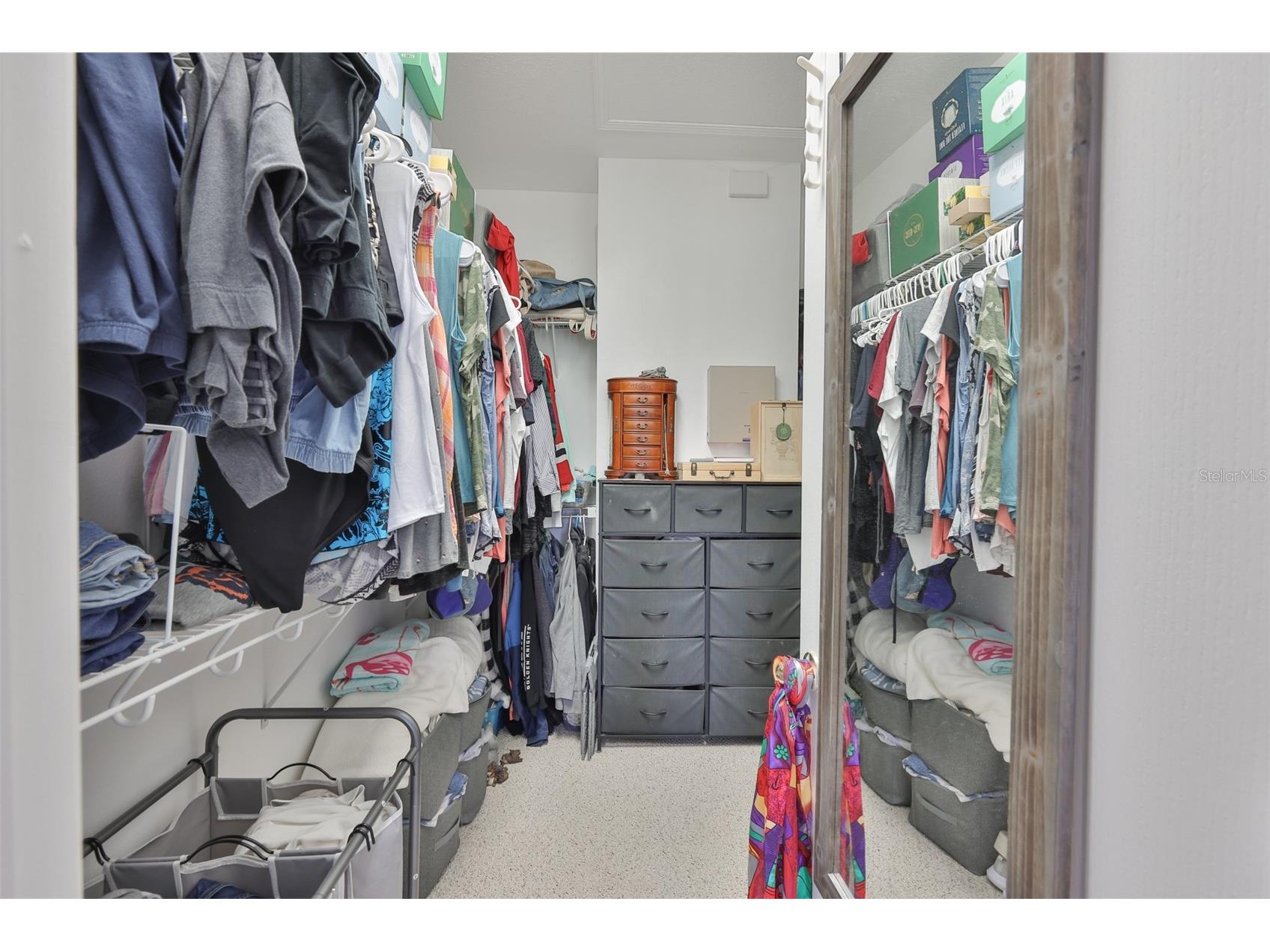 5223 Clover Mist Drive Apollo Beach FL 33572 TB8490398 image22