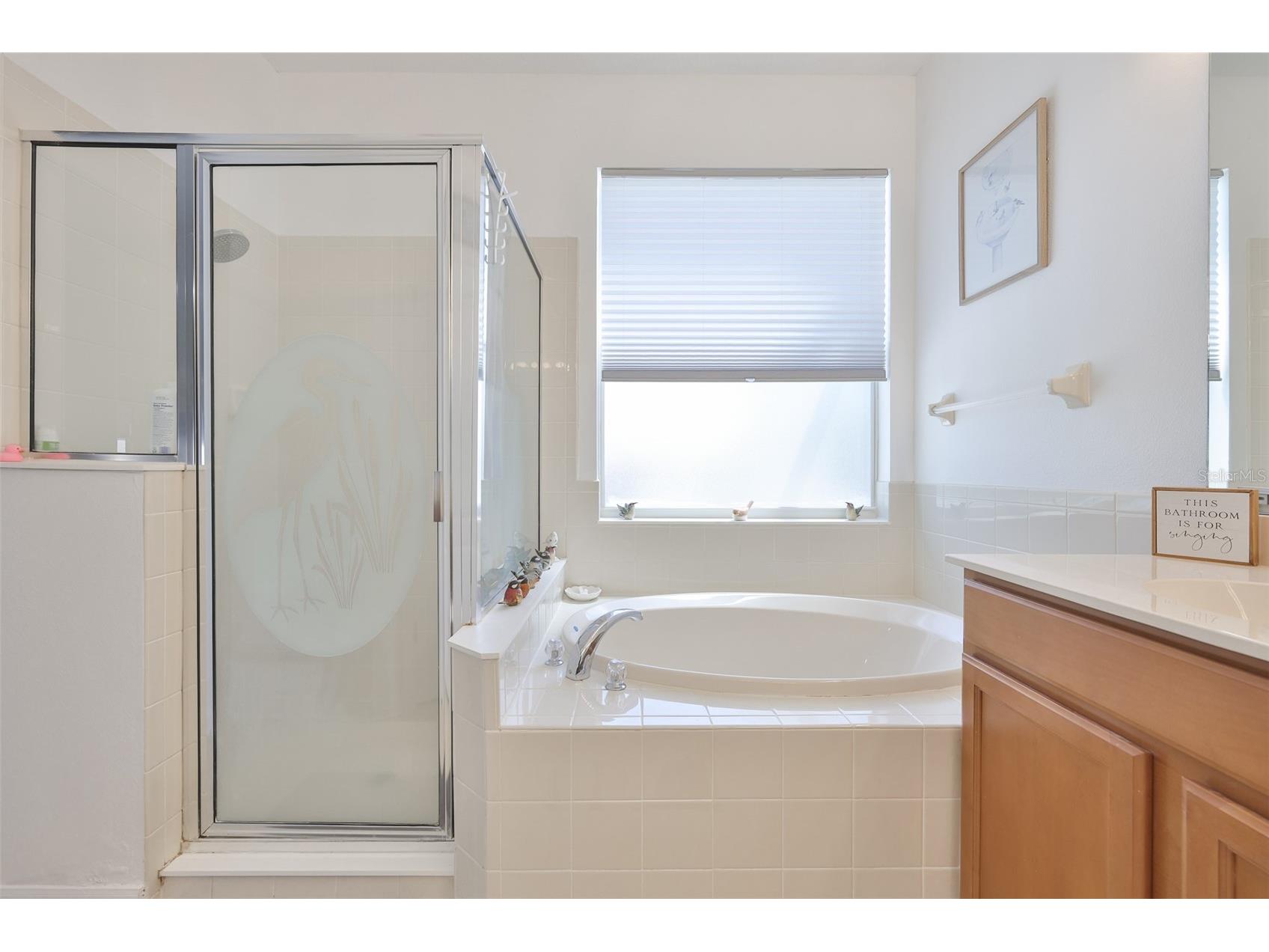 5223 Clover Mist Drive Apollo Beach FL 33572 TB8490398 image24