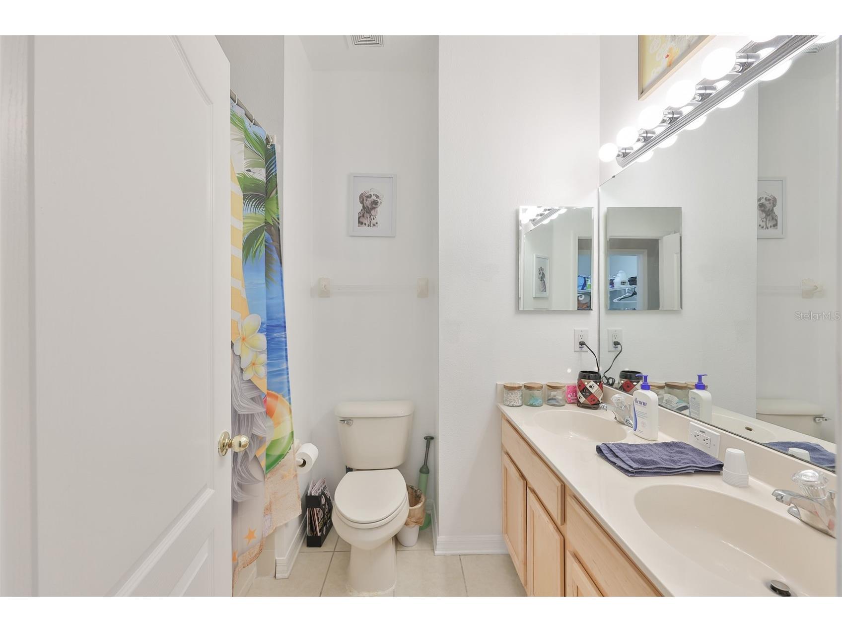 5223 Clover Mist Drive Apollo Beach FL 33572 TB8490398 image27
