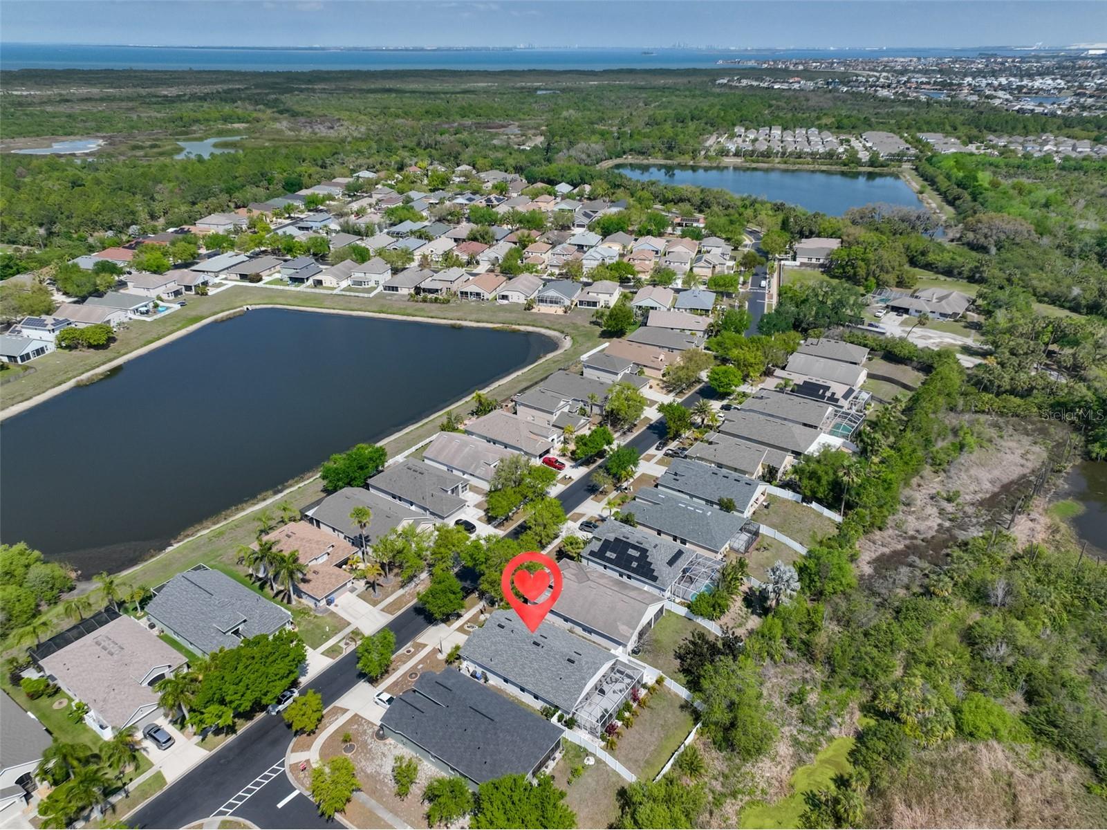 5223 Clover Mist Drive Apollo Beach FL 33572 TB8490398 image45