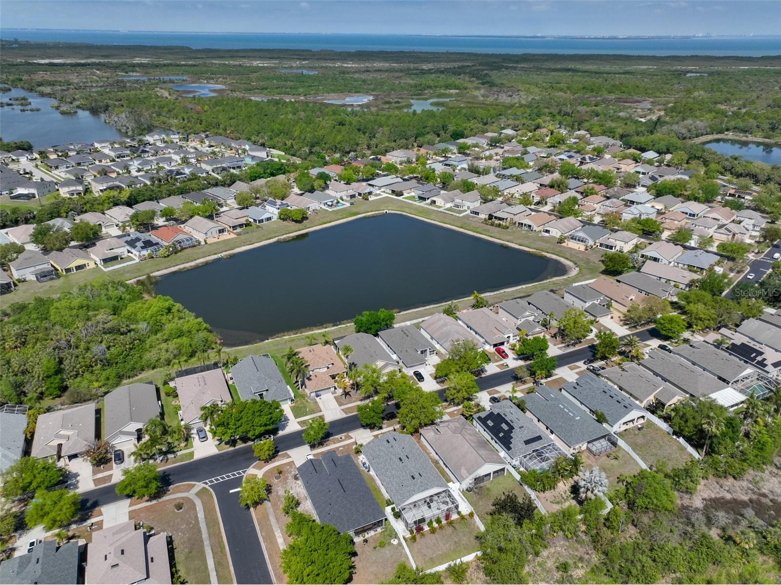 5223 Clover Mist Drive Apollo Beach FL 33572 TB8490398 image48