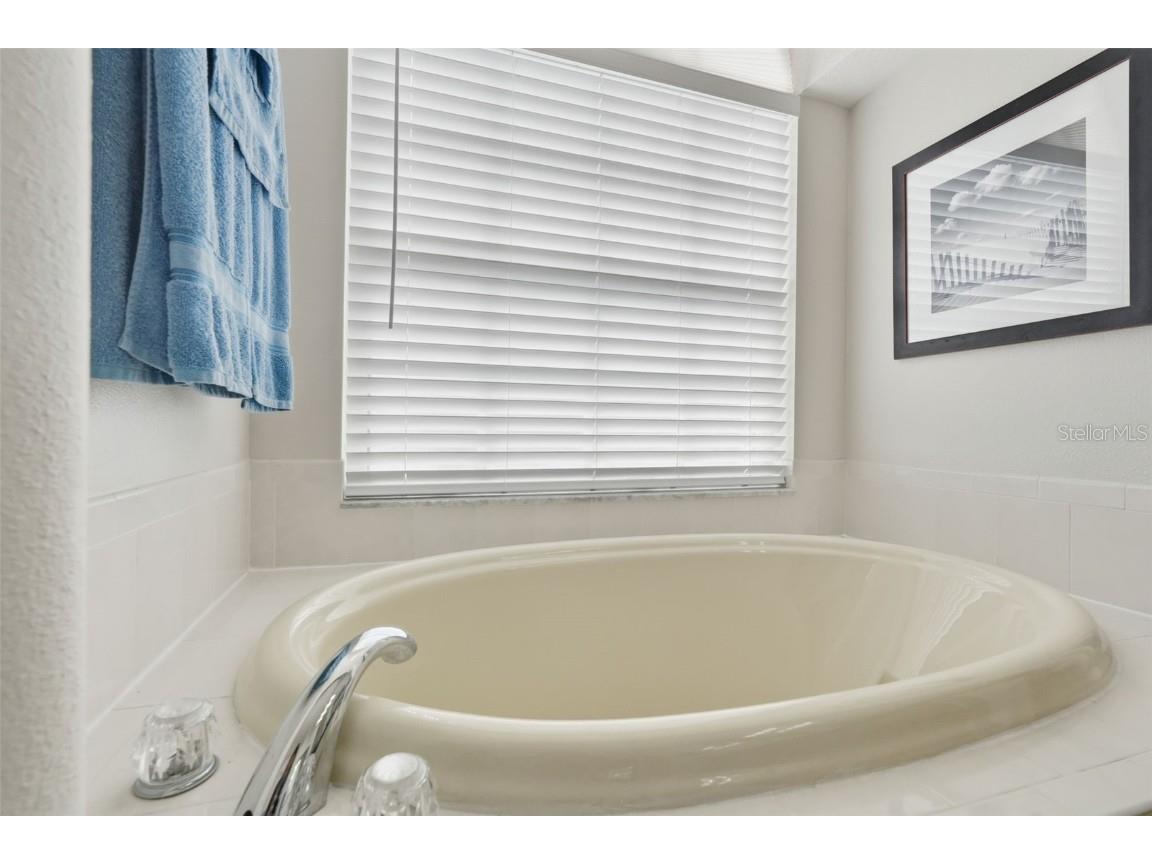 5223 Dellbrook Avenue Spring Hill FL 34608 TB8436919 image29