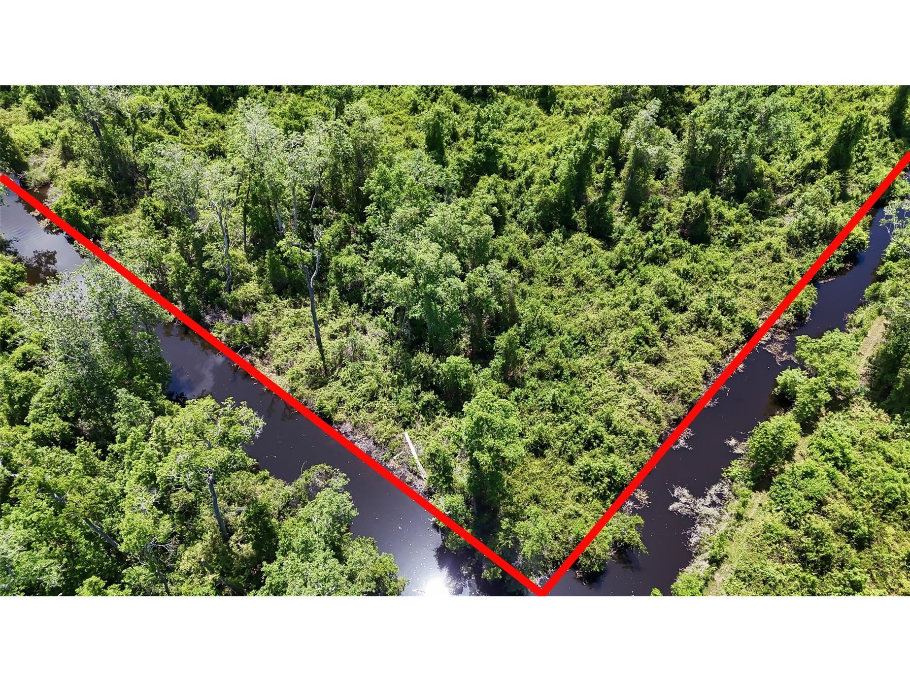 5223 Eagles Nest Road Fruitland Park FL 34731 OM723754 image40