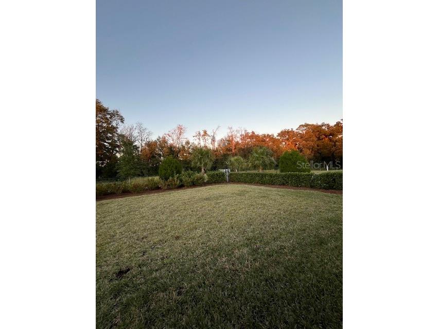 5223 NW 48th Place Ocala FL 34482 OM715054 image22