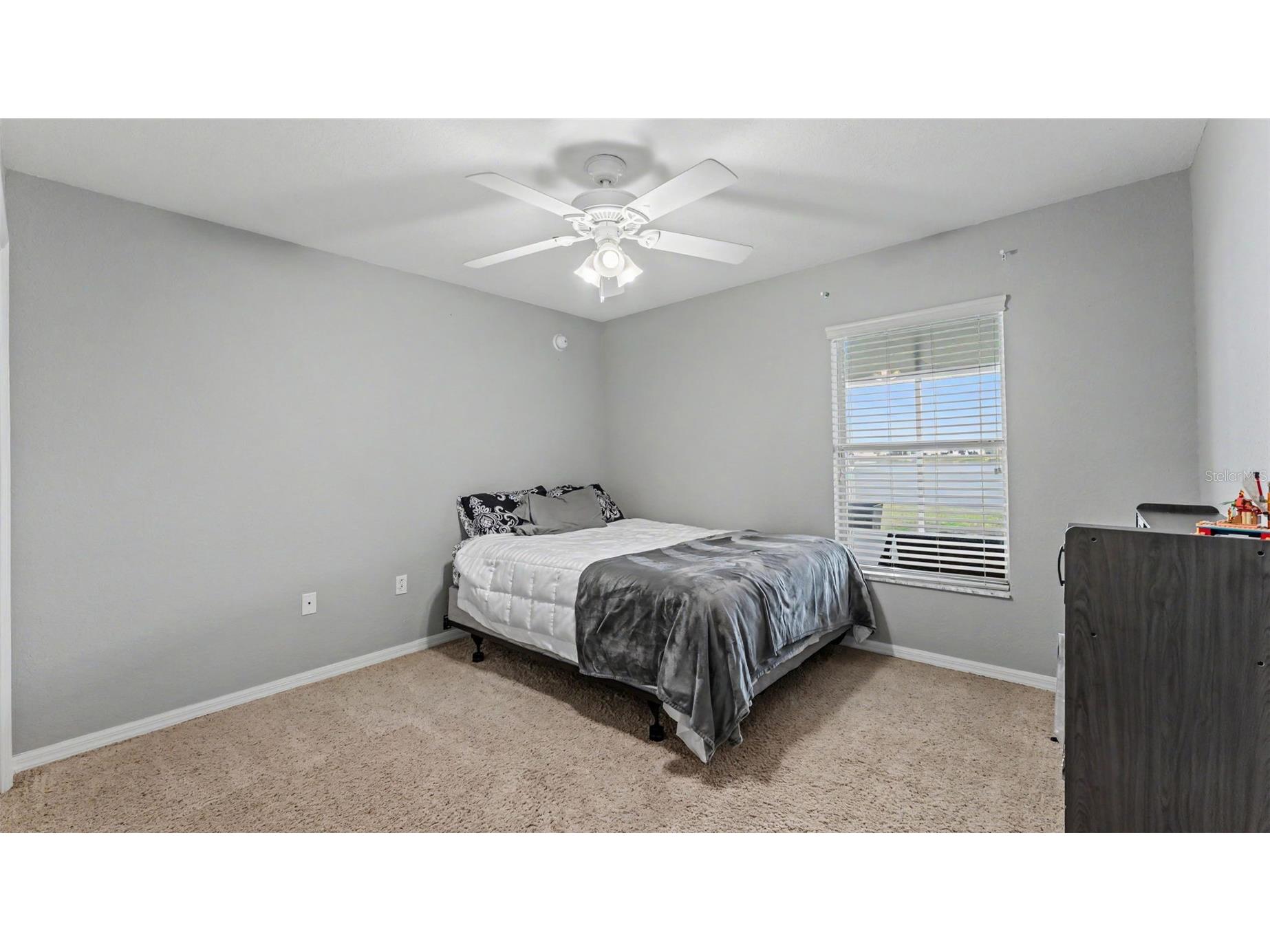 5223 White Egret Lane Lakeland FL 33811 L4961771 image29