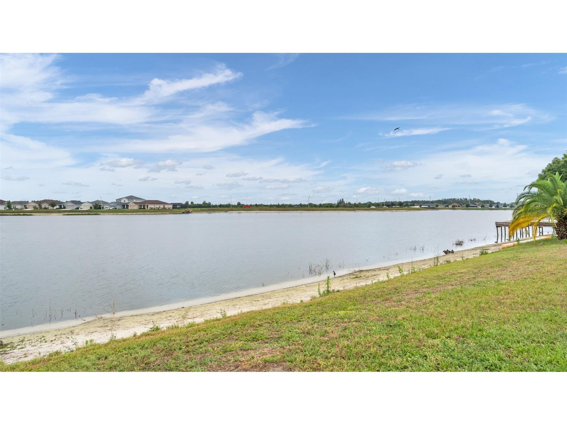 5223 White Egret Lane Lakeland FL 33811 L4961771 image37