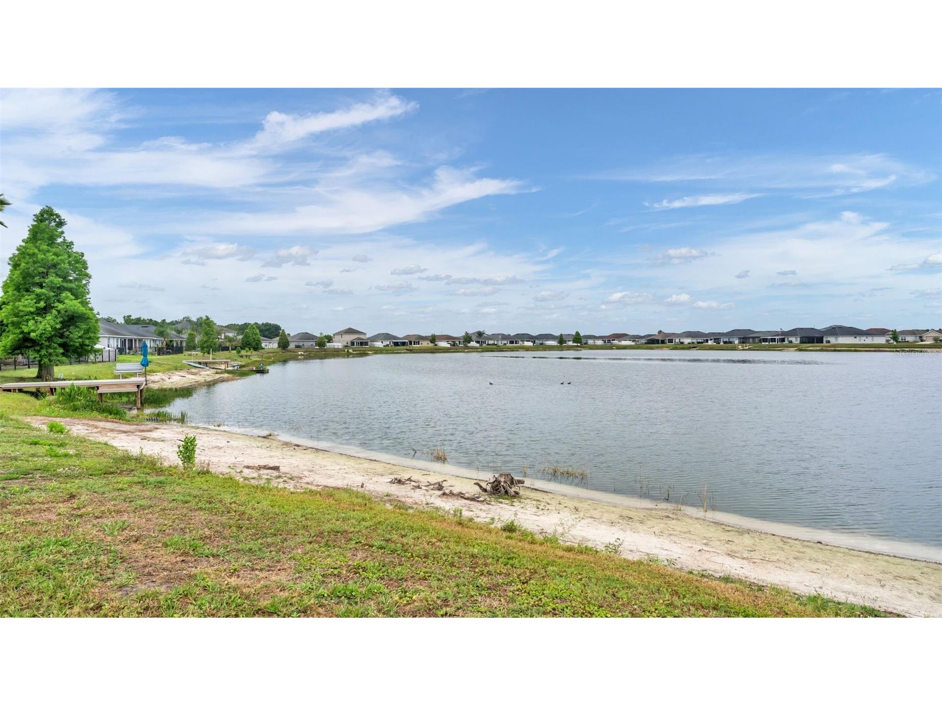 5223 White Egret Lane Lakeland FL 33811 L4961771 image38