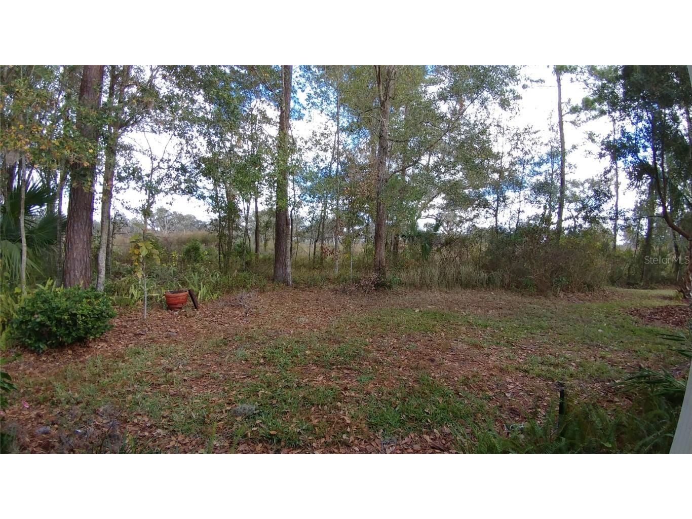 5224 Esplande Court Brooksville FL 34604 TB8438203 image35