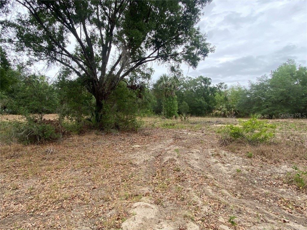 5224 Fairmont Road Lake Wales FL 33898 P4925361 image1