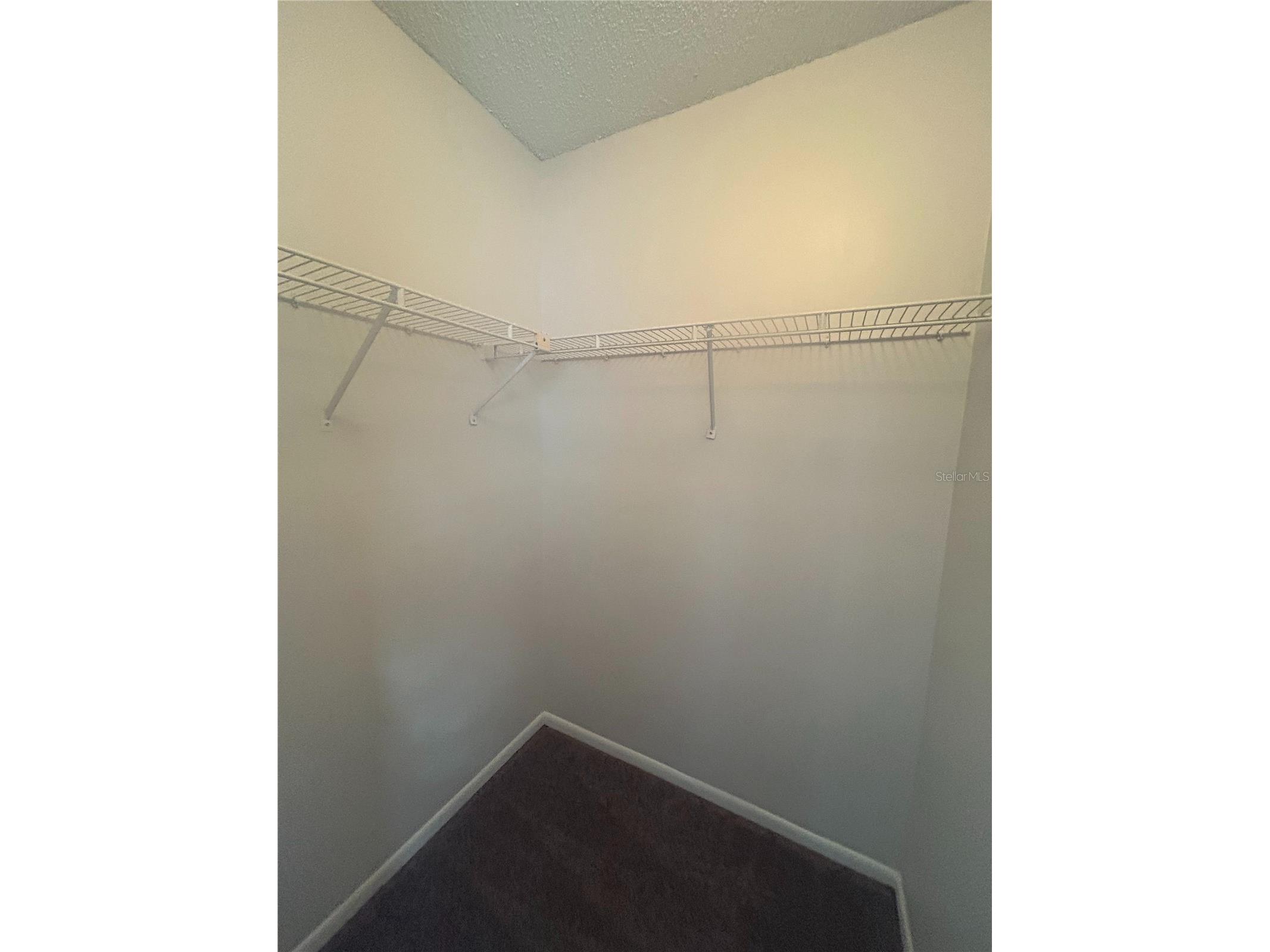 5224 Florida Holly Drive Orlando FL 32811 O6405369 image13
