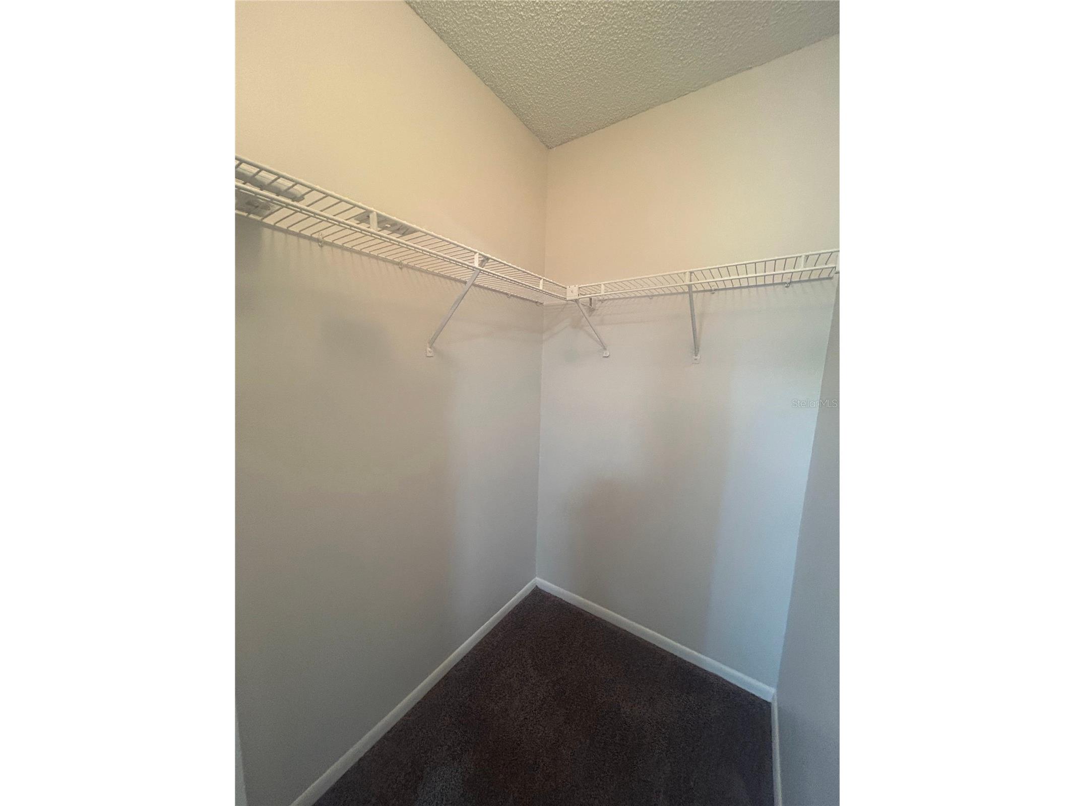 5224 Florida Holly Drive Orlando FL 32811 O6405369 image15