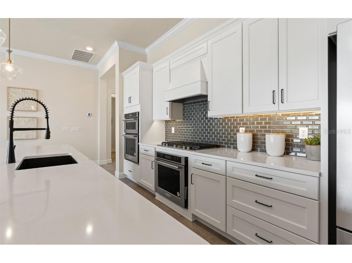 5224 Handsome Hills Drive Mount Dora FL 32757 O6342834 image8