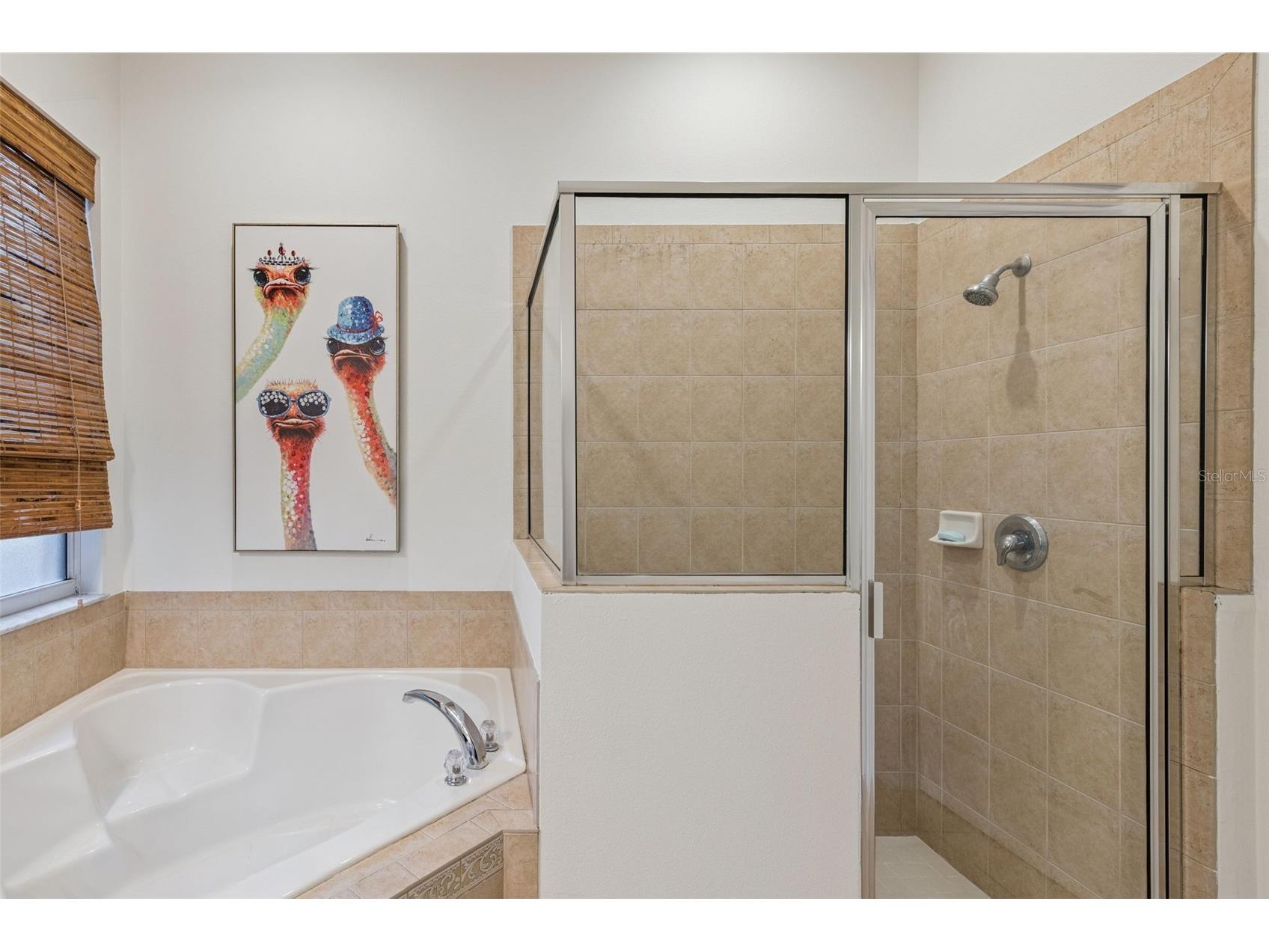 5224 Lemon Twist Lane Windermere FL 34786 O6393299 image19