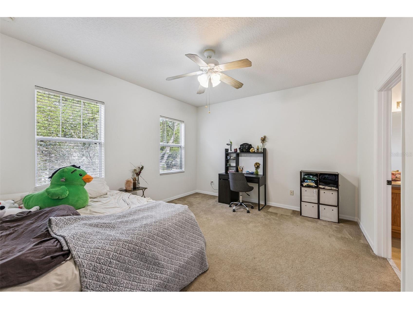 5224 Lemon Twist Lane Windermere FL 34786 O6393299 image21