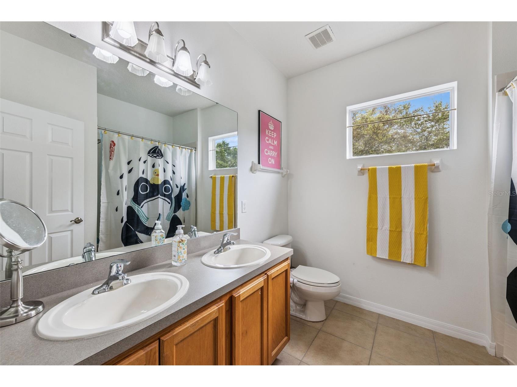 5224 Lemon Twist Lane Windermere FL 34786 O6393299 image26