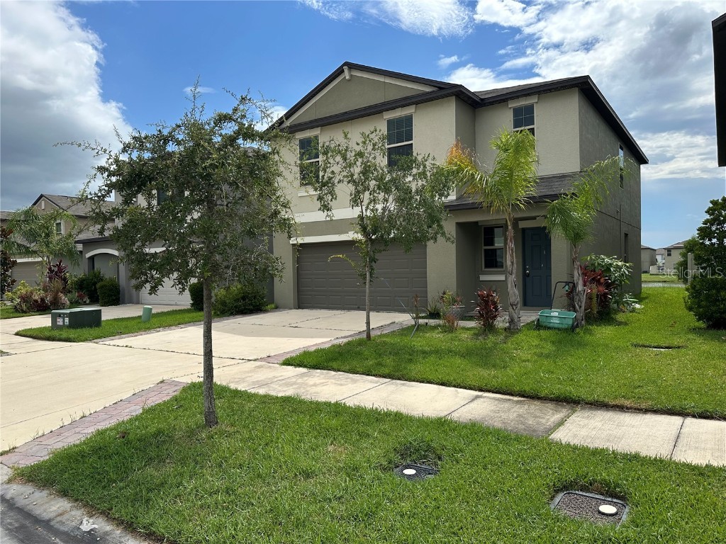 5224 White Chicory Drive Apollo Beach FL 33572 TB8427045 image1