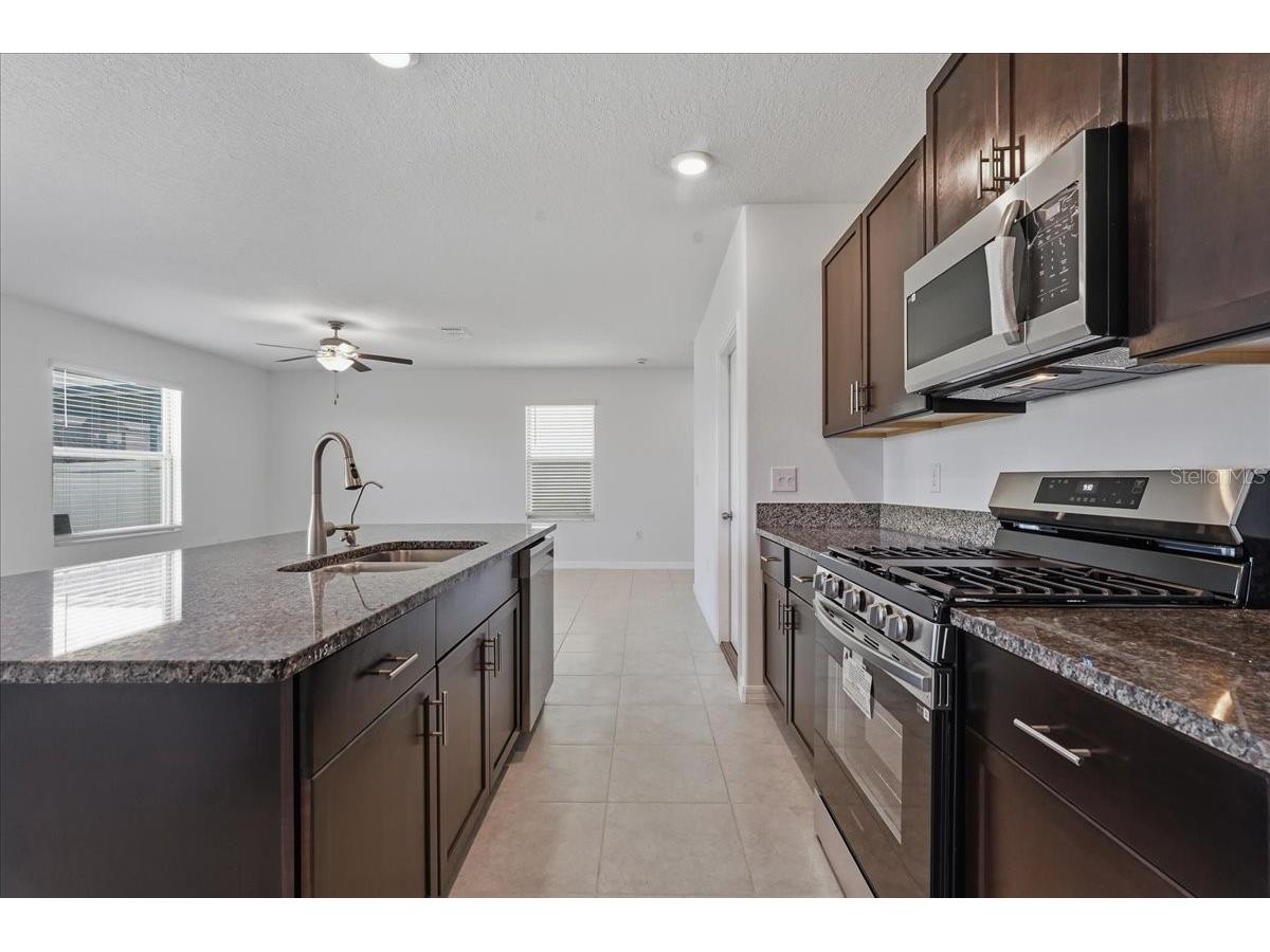 5224 White Chicory Drive Apollo Beach FL 33572 TB8506979 image11