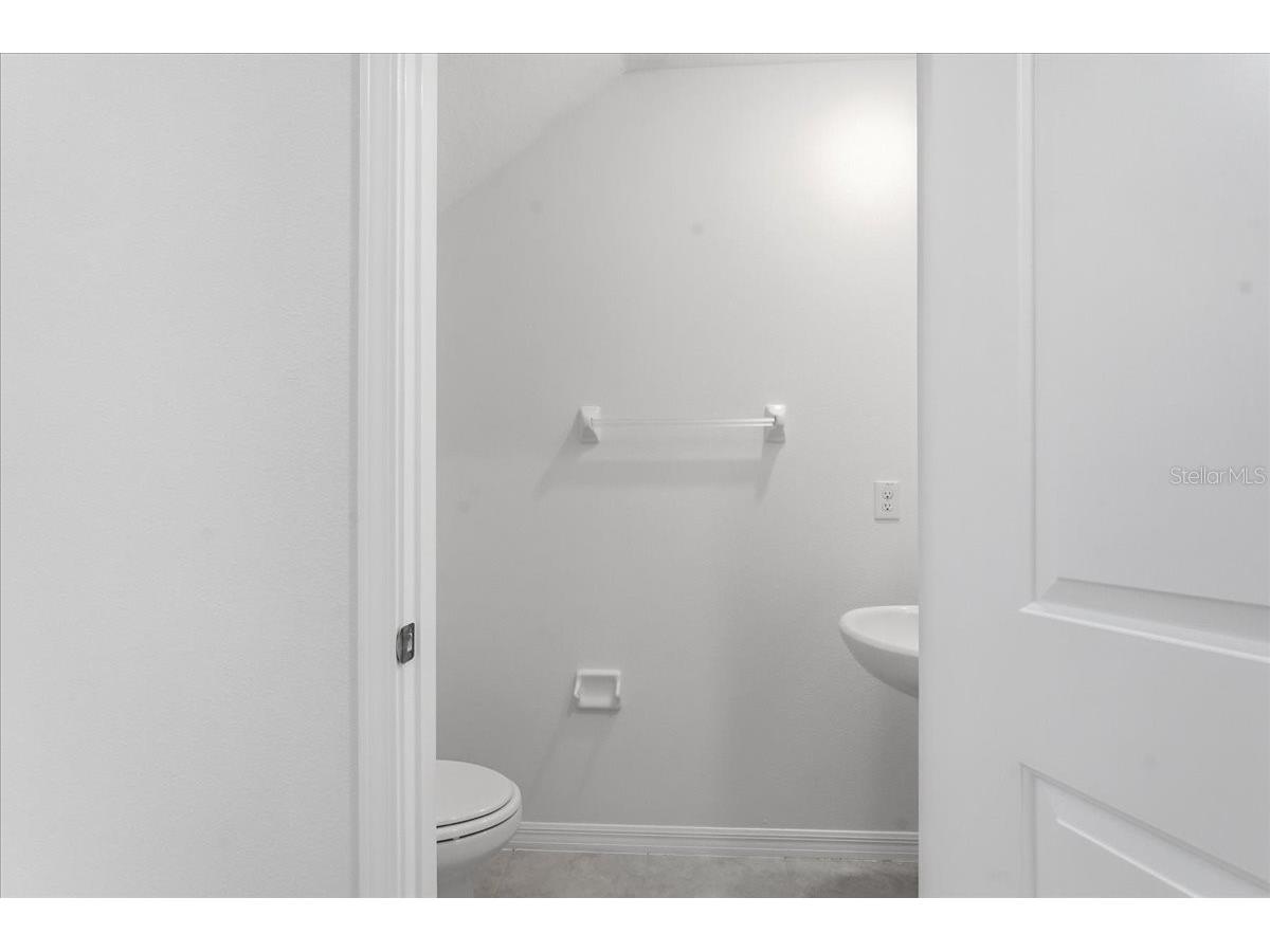 5224 White Chicory Drive Apollo Beach FL 33572 TB8506979 image18