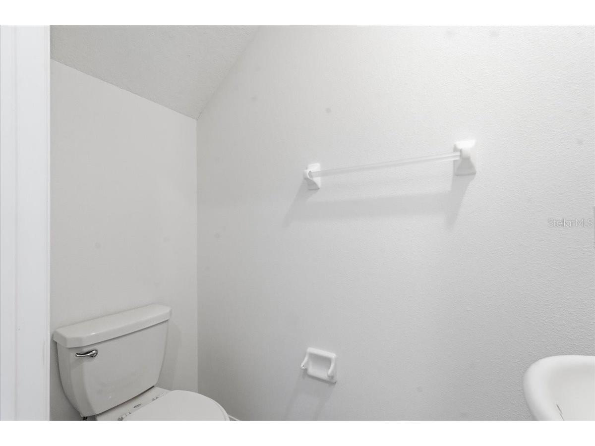 5224 White Chicory Drive Apollo Beach FL 33572 TB8506979 image19