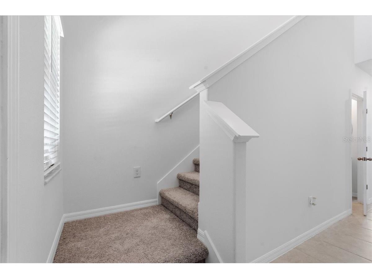 5224 White Chicory Drive Apollo Beach FL 33572 TB8506979 image21