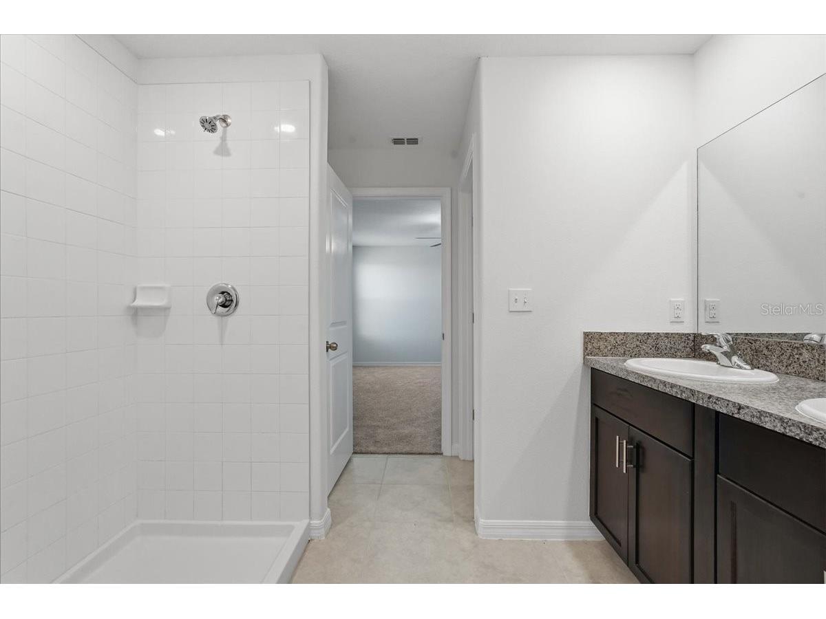 5224 White Chicory Drive Apollo Beach FL 33572 TB8506979 image28