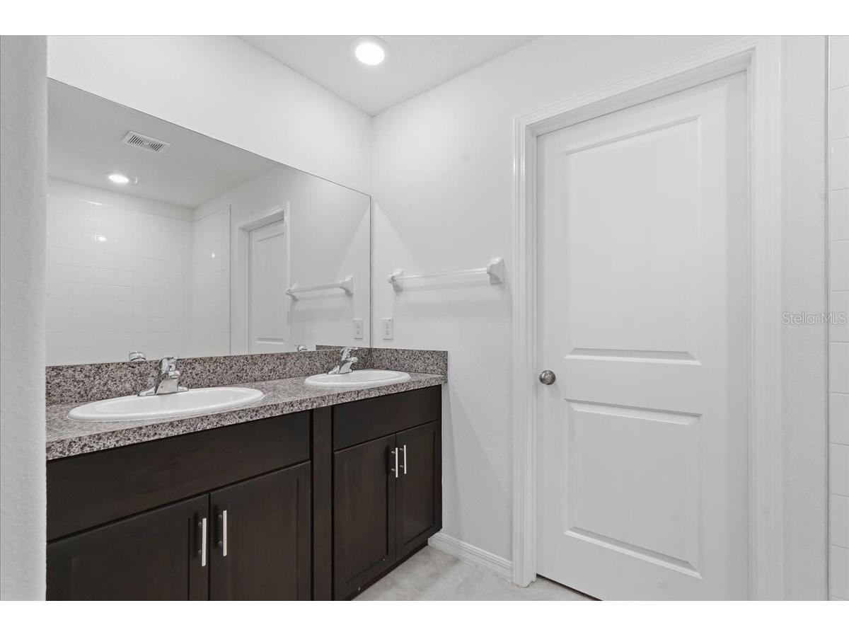 5224 White Chicory Drive Apollo Beach FL 33572 TB8506979 image29