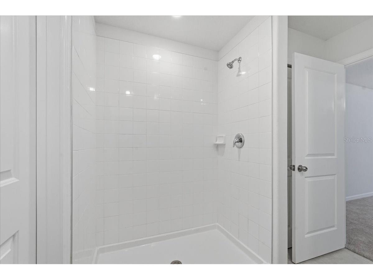 5224 White Chicory Drive Apollo Beach FL 33572 TB8506979 image30